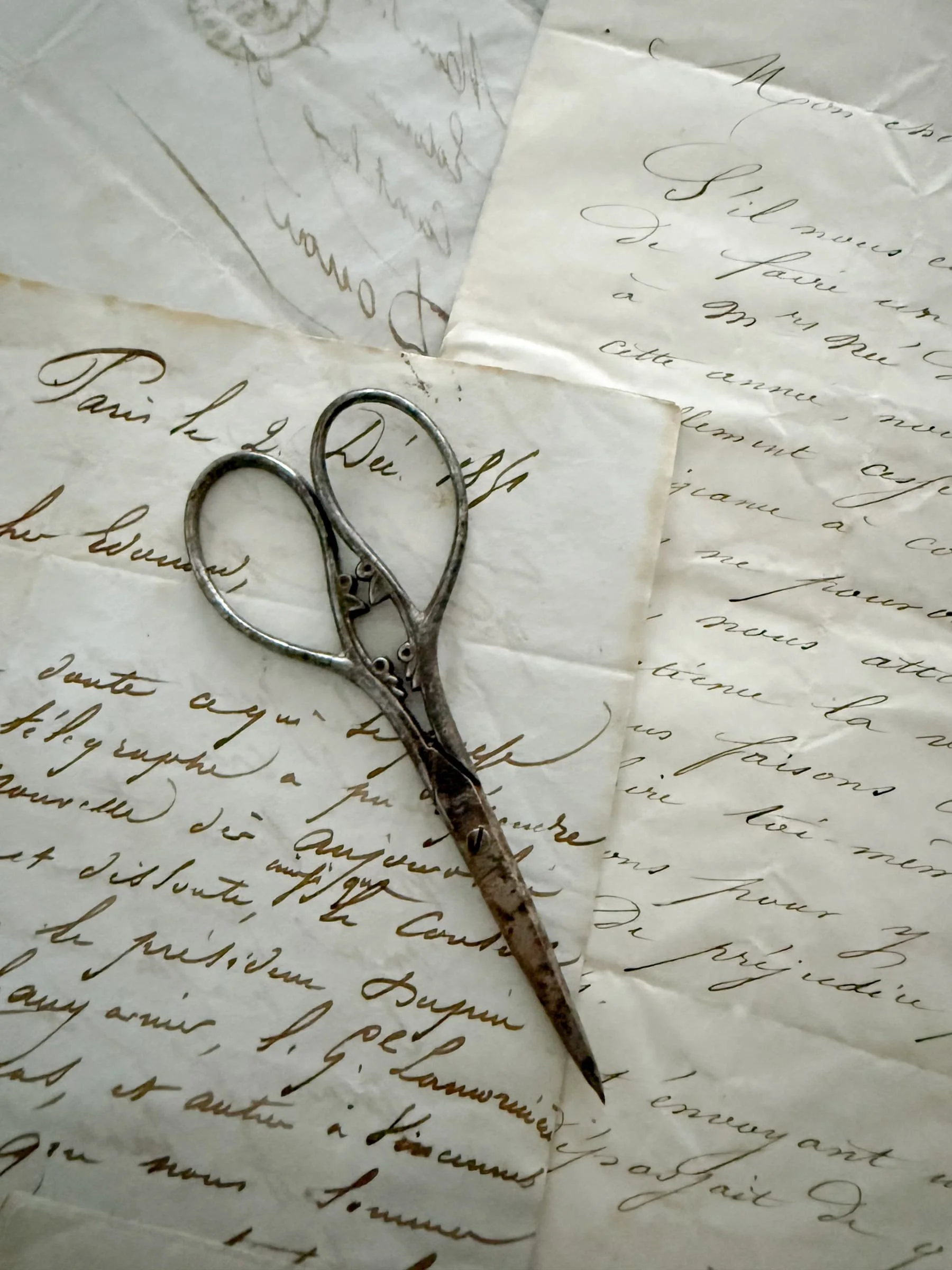 vintage-french-steel-embroidery-sewing-scissors (1).jpg