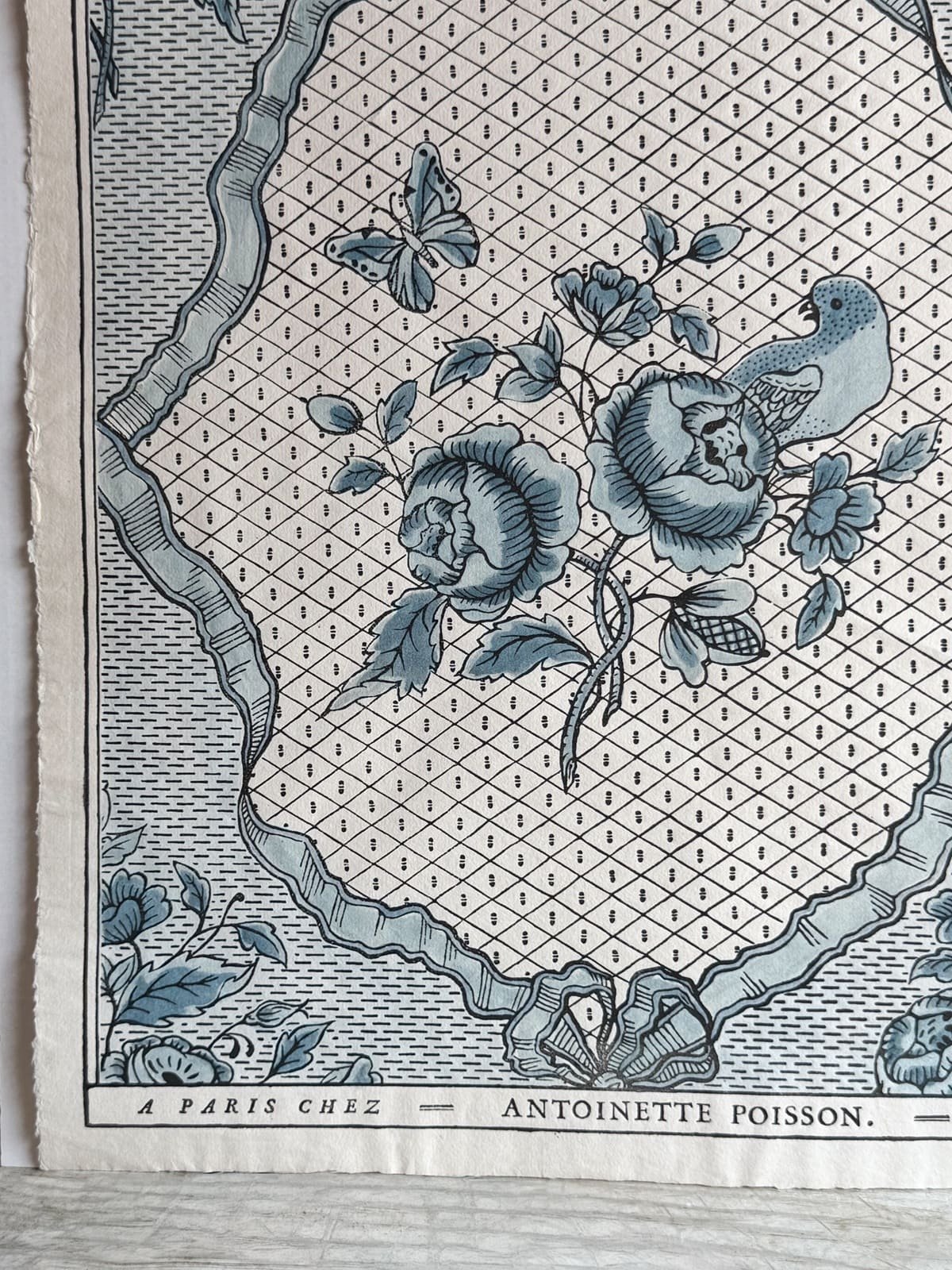 antoinette-poisson-french-domino-print-54b-ribbons-and-birds-1.jpeg