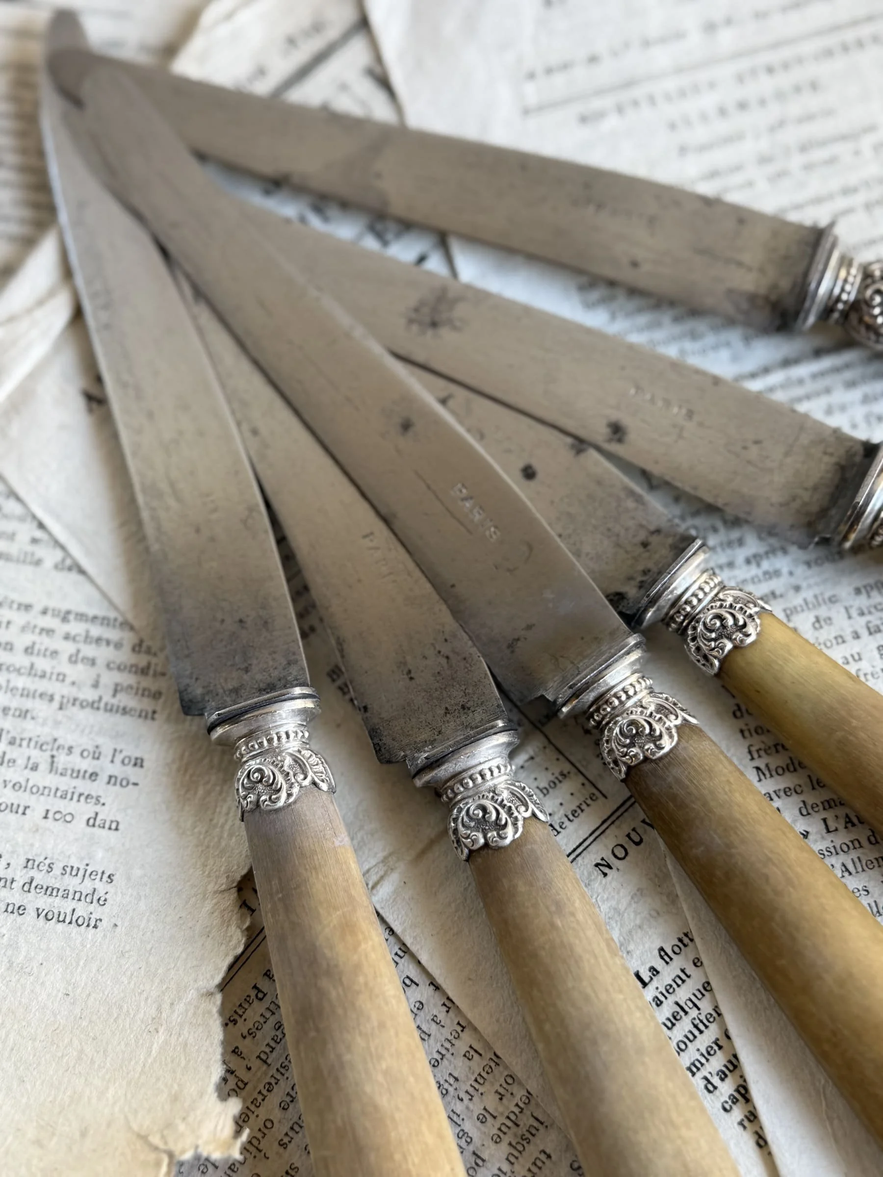 paris-silver-stainless-knife (1).jpg