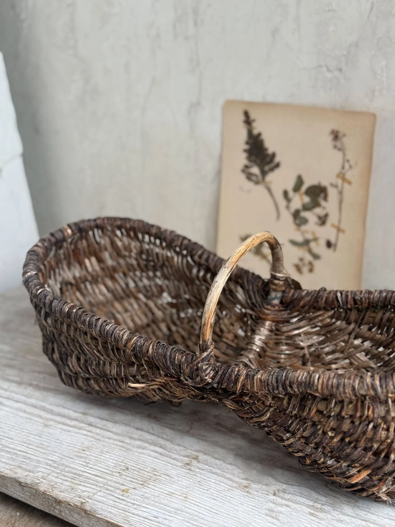 antique-french double-bustle-gathering-basket (2).jpg