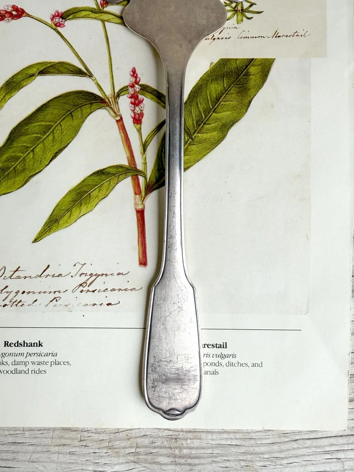 vintage-french-silver-serving-fork-ercuis-meat-fish-fork (4).jpg