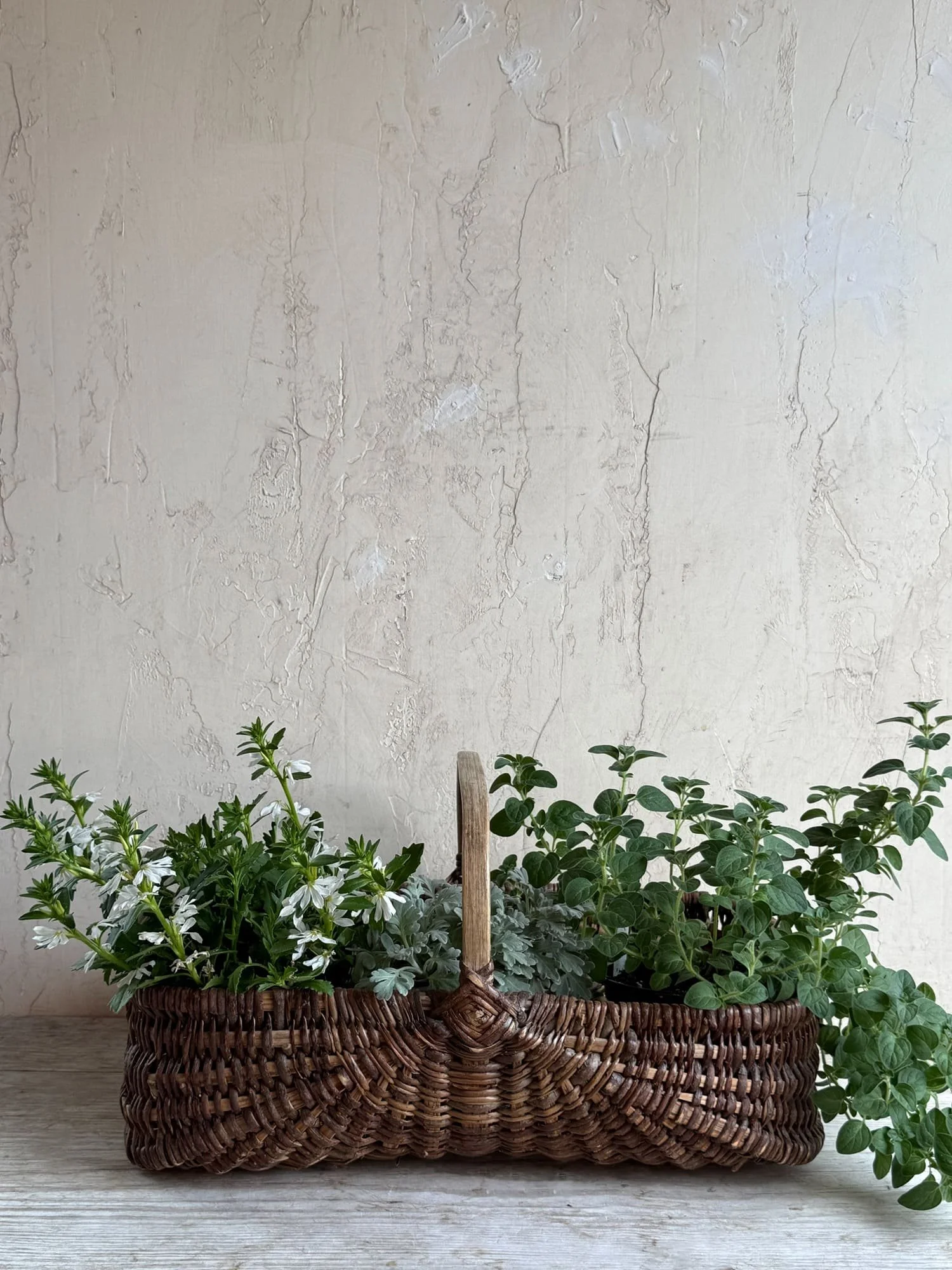 vintage-french-large-rattan-wicker-gathering-basket-trug (1).jpg