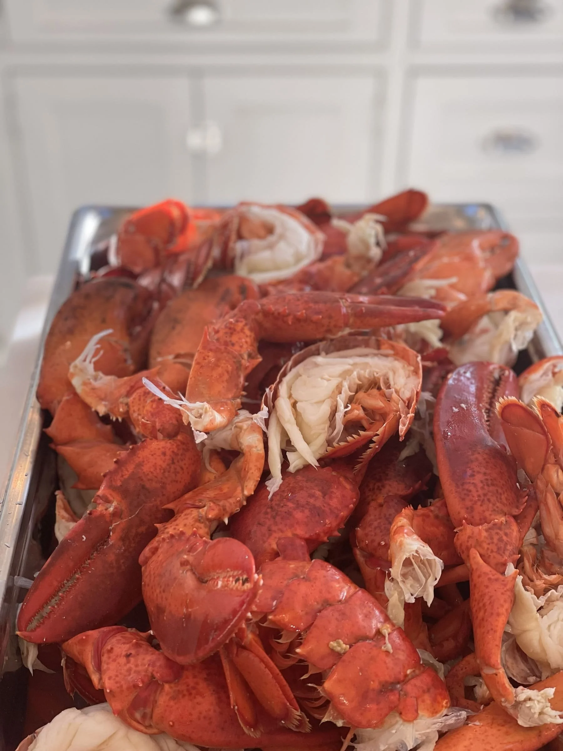 lobster dinner christmas eve seven fishes feast