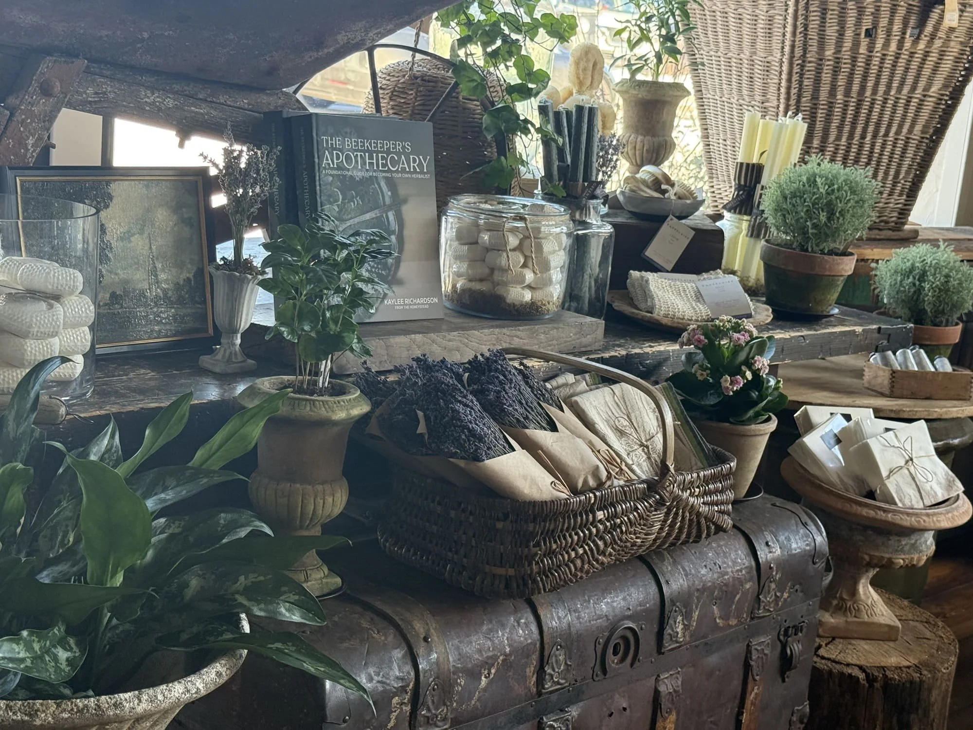 potted plants taper candles antique trunk French oil painting