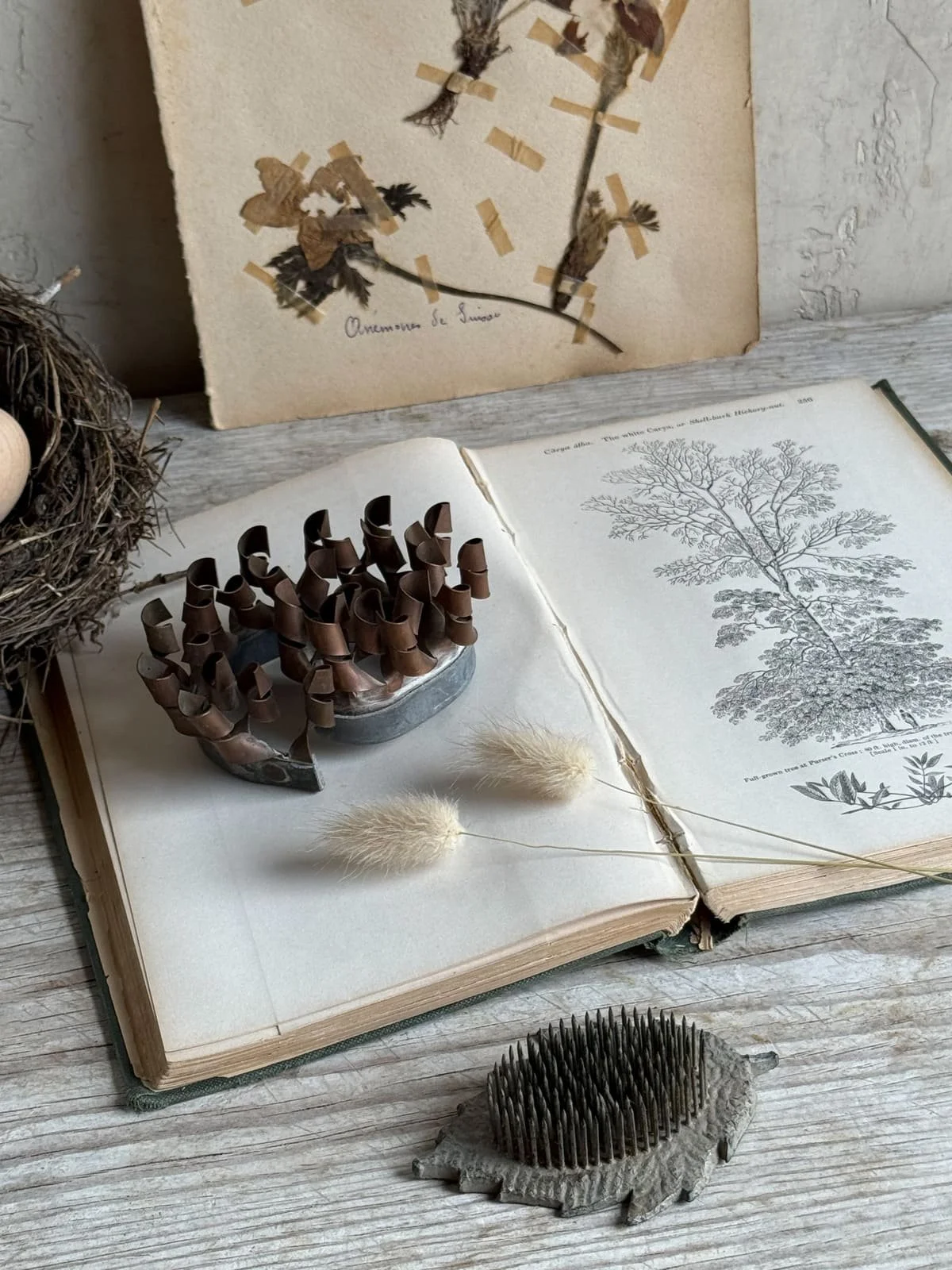 vintage-copper-coil-flower-frog-leaf-pin-floral-arranging-frog-2.jpg