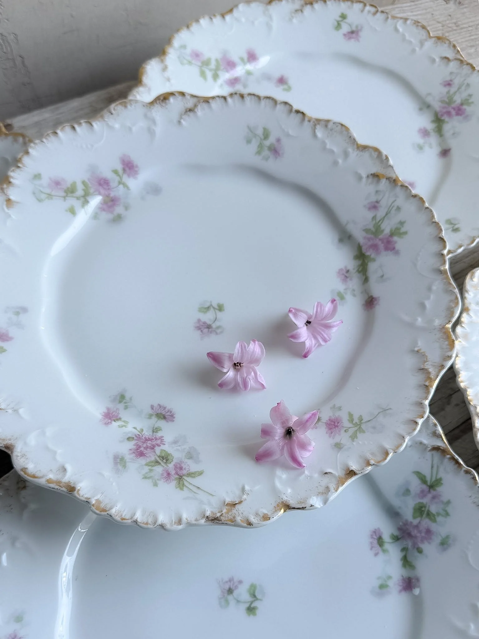 antique-french-porcelain-limoges-floral-plates (1).jpg