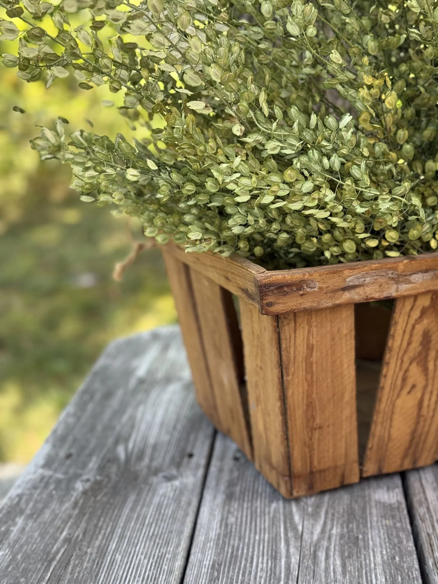 vintage-wood-fruit-crate-bushel-basket-storage-bin (5).jpg