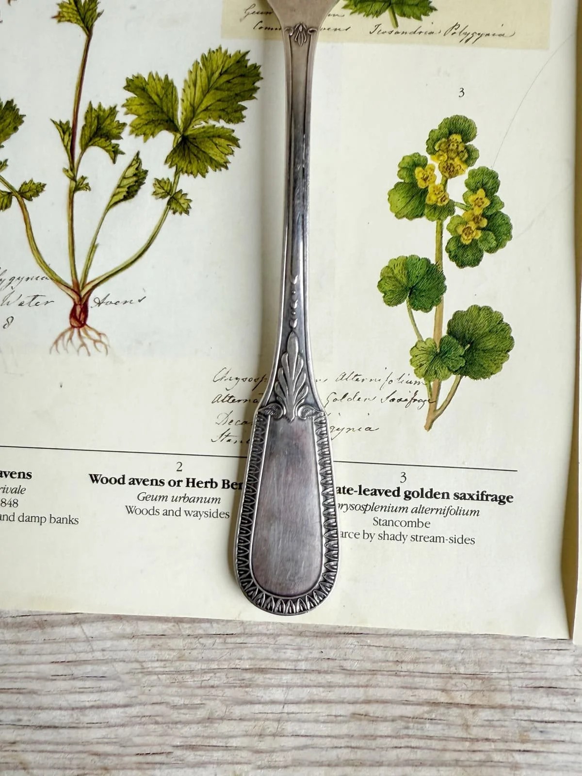 vintage-french-silver-serving-fork-ercuis-fork (3).jpg