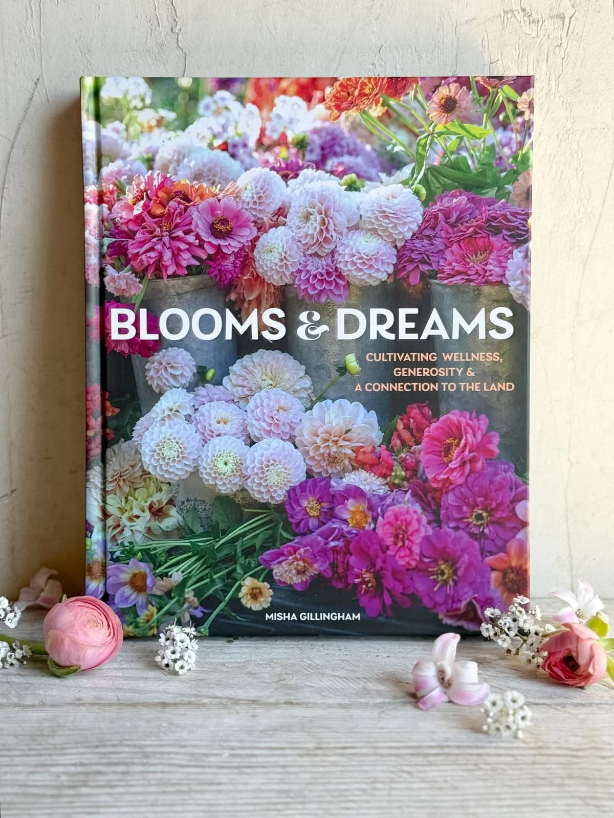 books-and-dreams-book-misha-gillingham (1).jpg