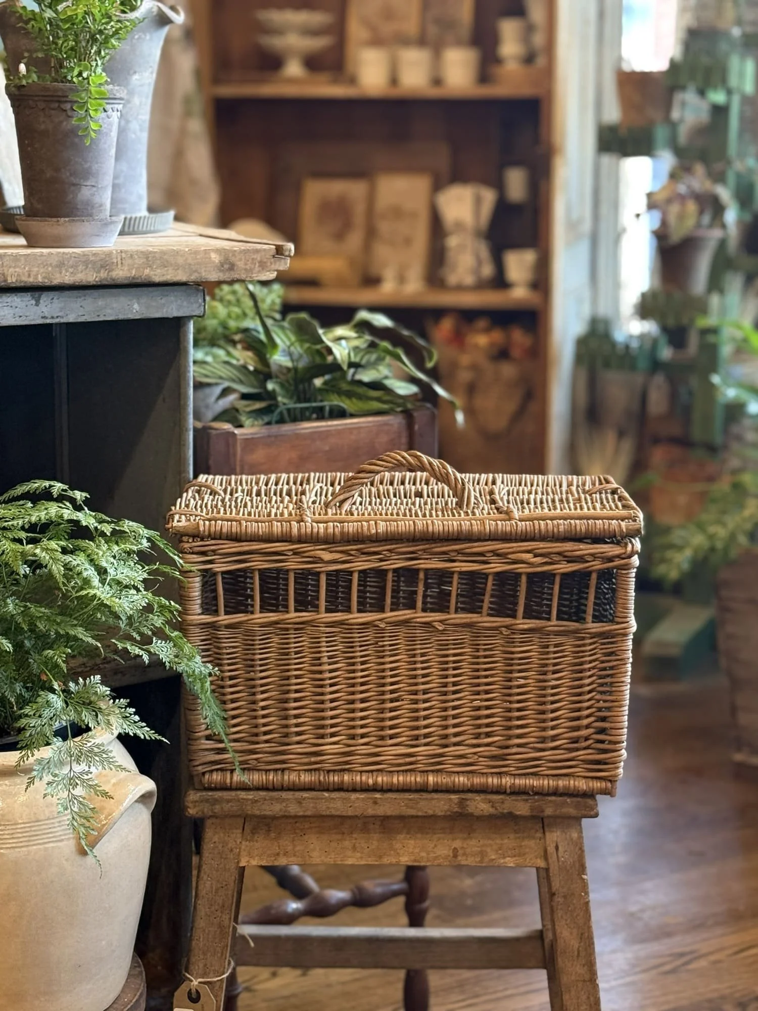 French Antique Willow Storage Basket with Hinged Cover