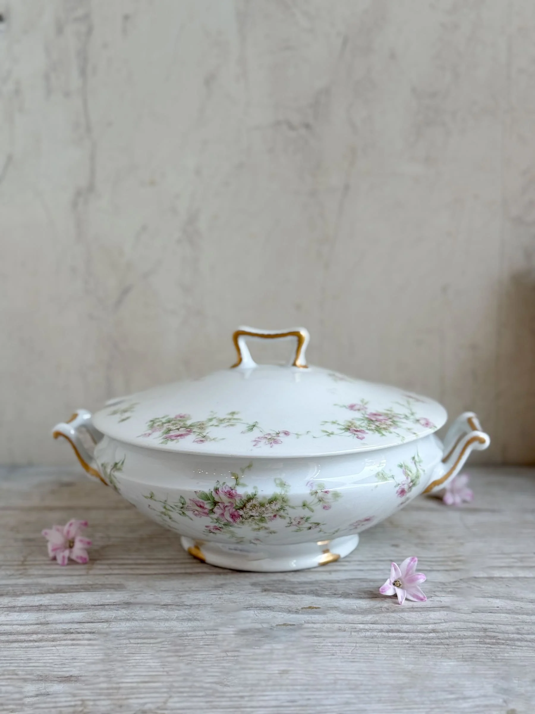 antique-french-haviland-limoges-soup-tureen.jpg