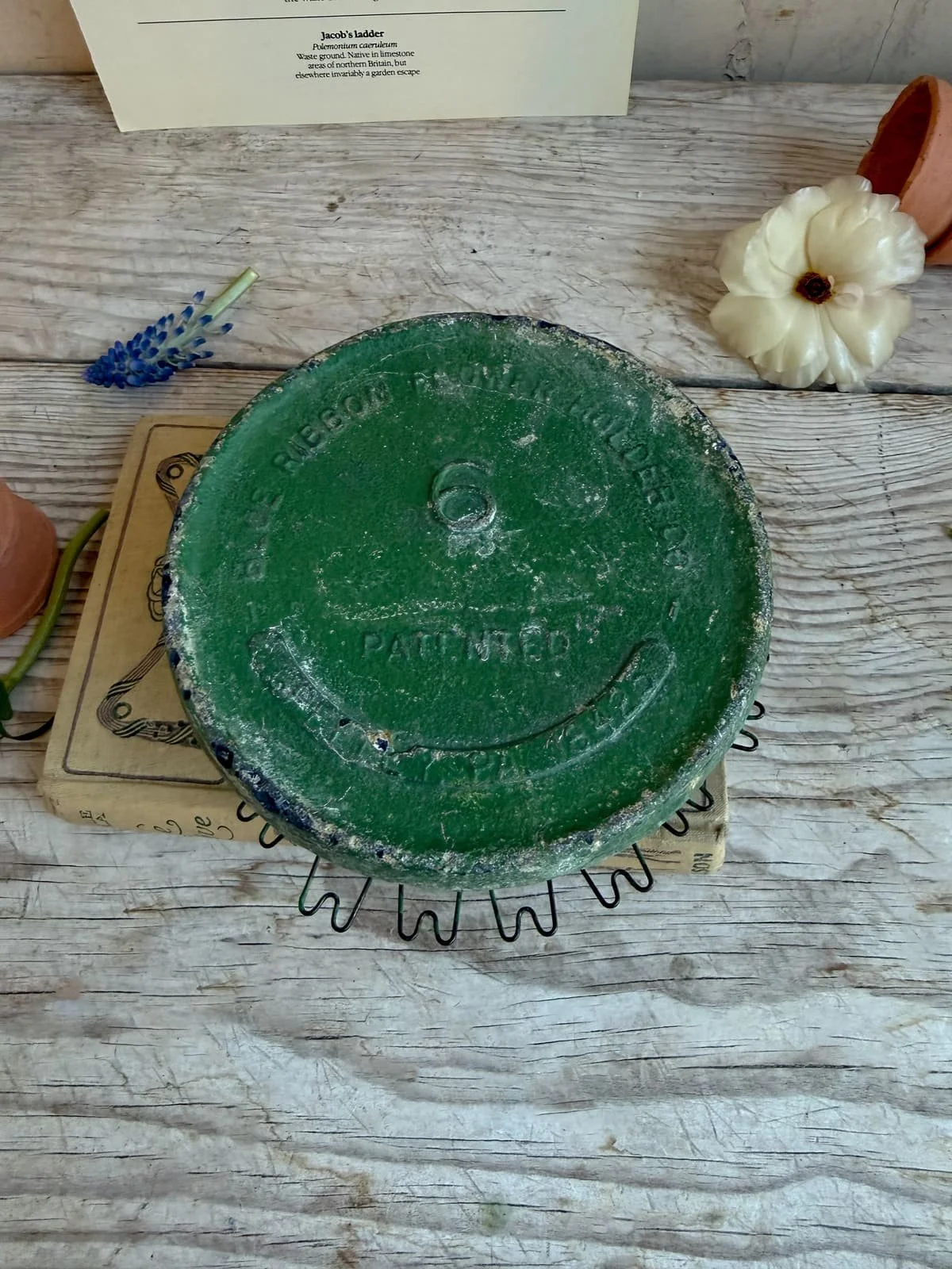 vintage-hairpin-flower-frog-round-green-flower-arranging-frog (1).jpg