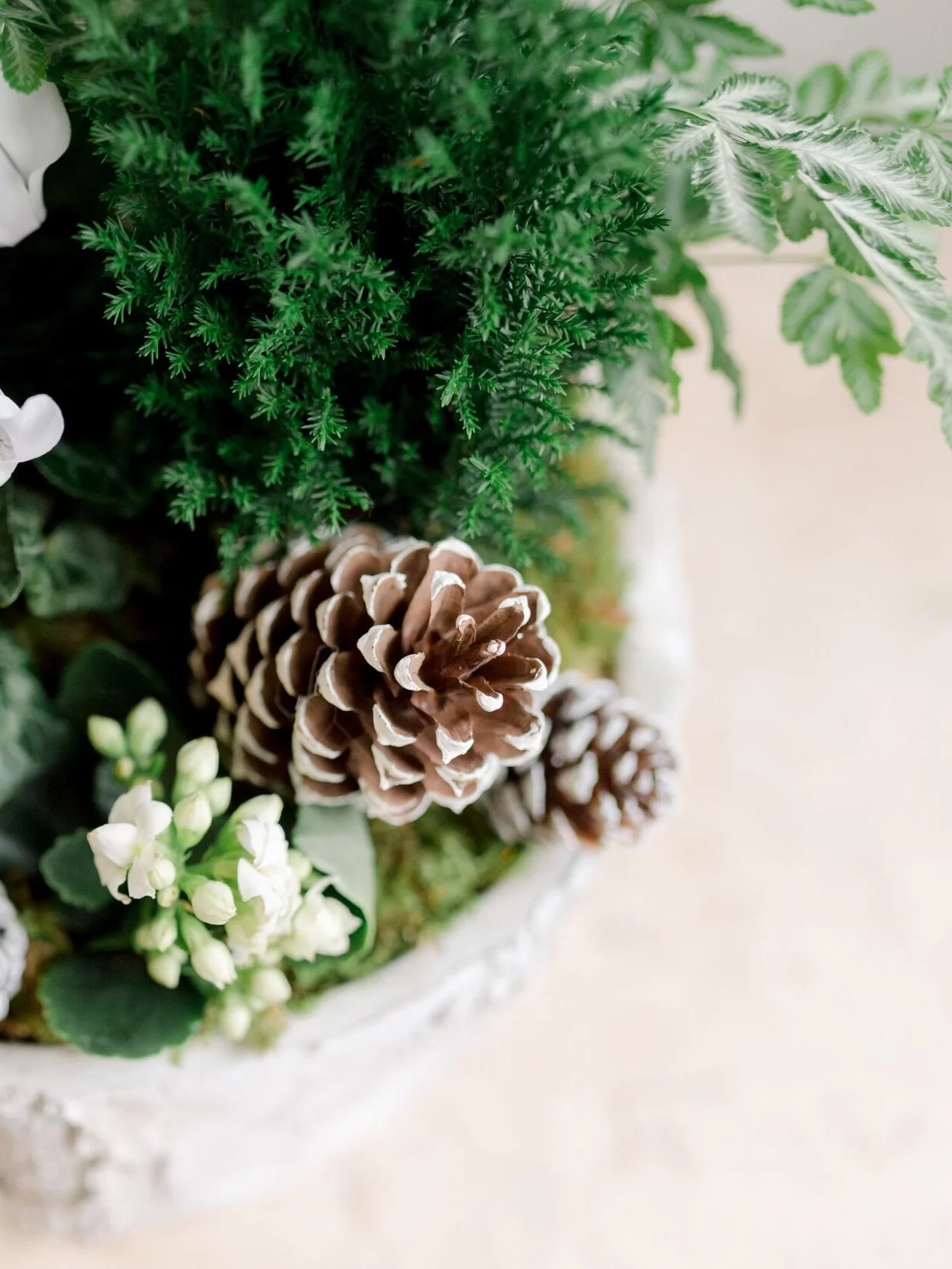 holiday-bark-planter-pinecone-cypress-lesfleurs-andover-5.jpg