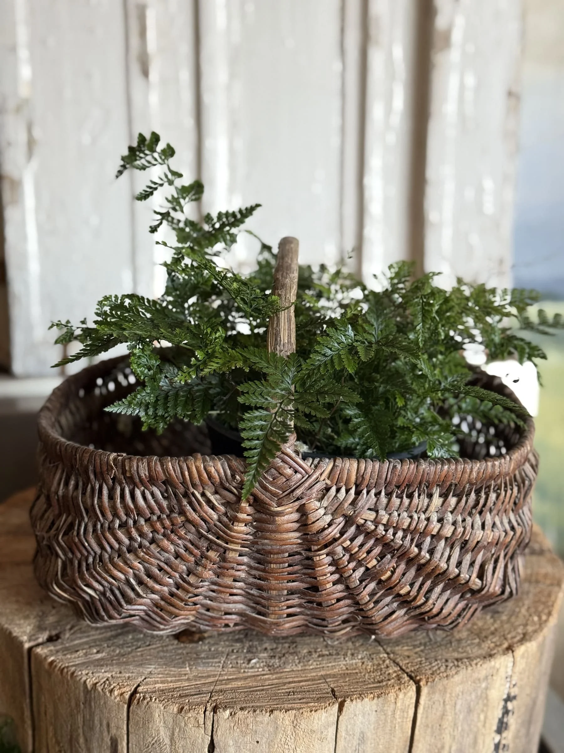 antique-french-wicker-gathering-basket-wood-handle (5).jpg