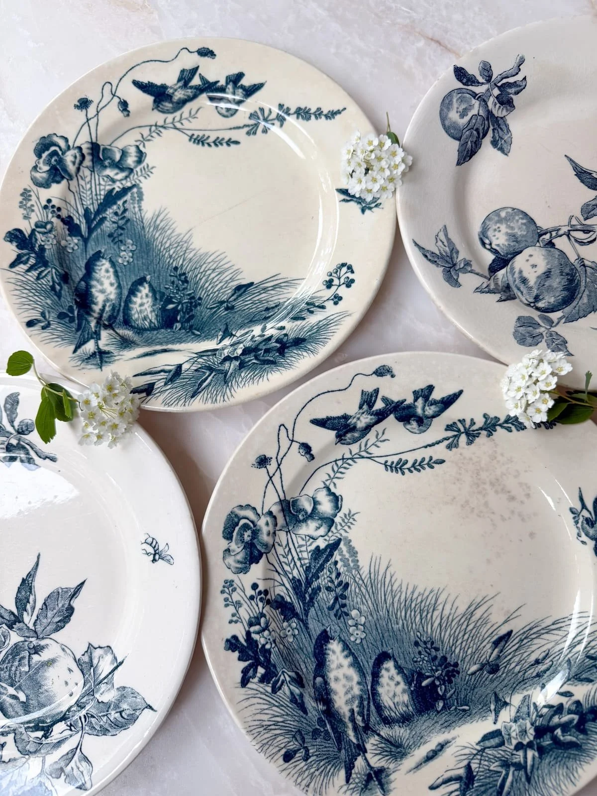 Antique French Terre de Fer Blue Transferware Bird Plates | Vieillard Bordeaux