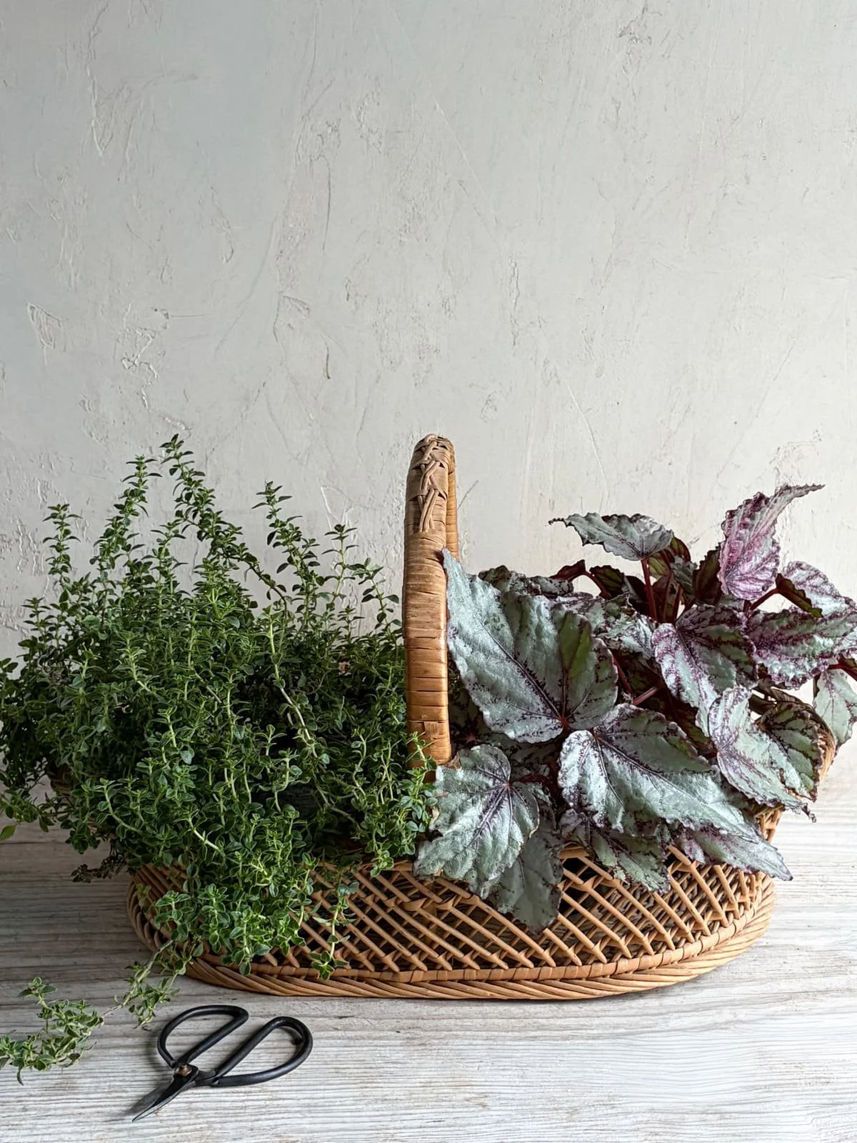 vintage-lattice-rattan-wicker-braided-basket (4).jpg