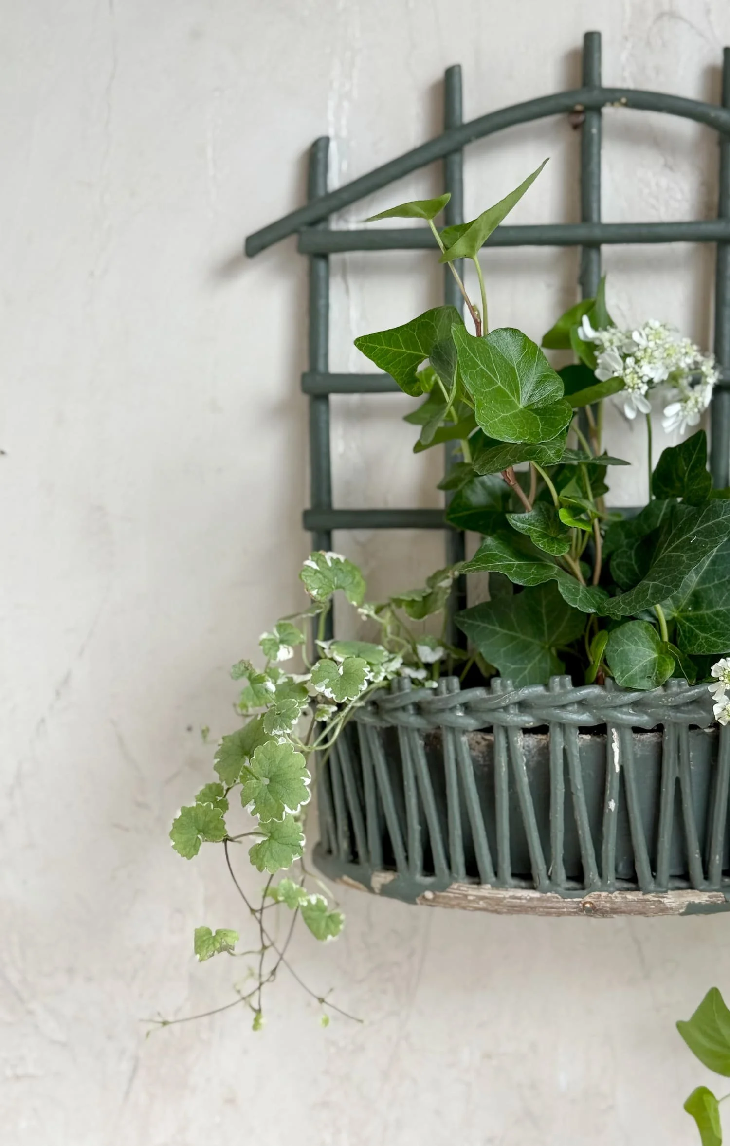 vintage-green-trellis-plant-container-hanging-wall-planter-basket (4).jpg