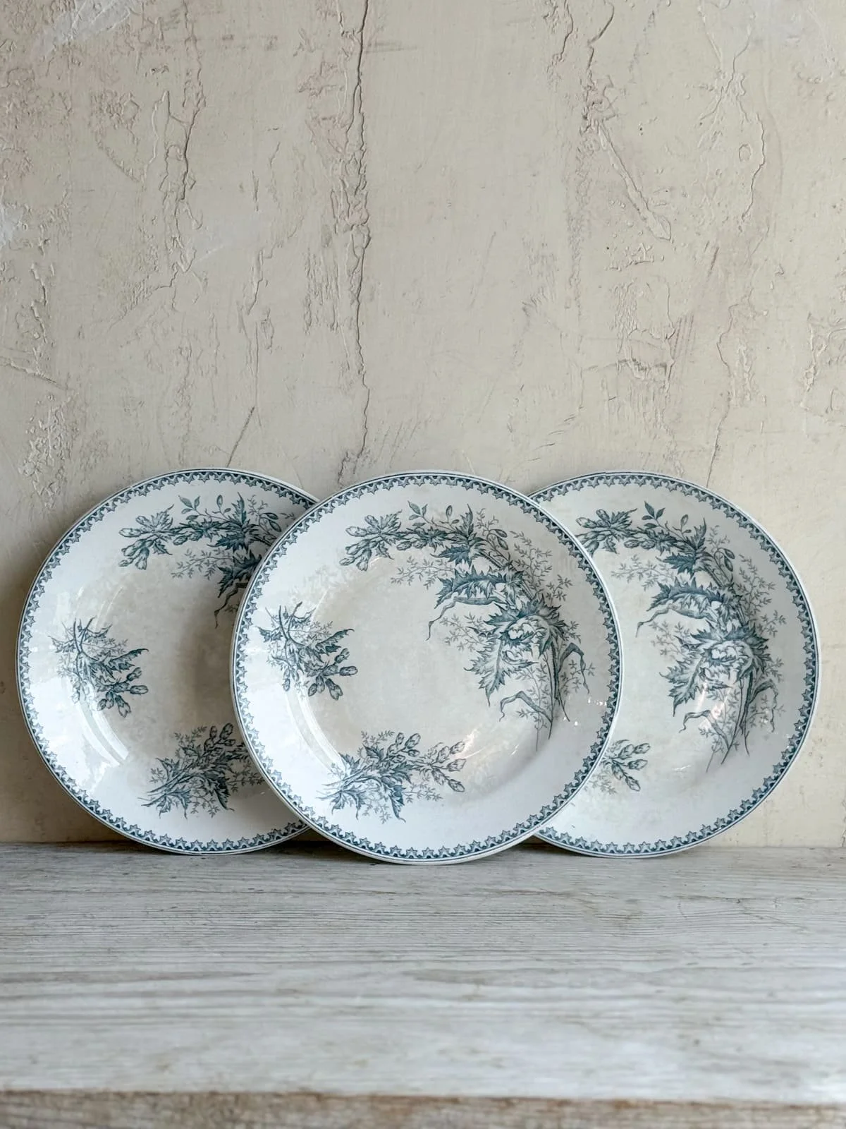 antique-terre-de-fer-plate-blue-thistle-floral-pattern  (5).jpg