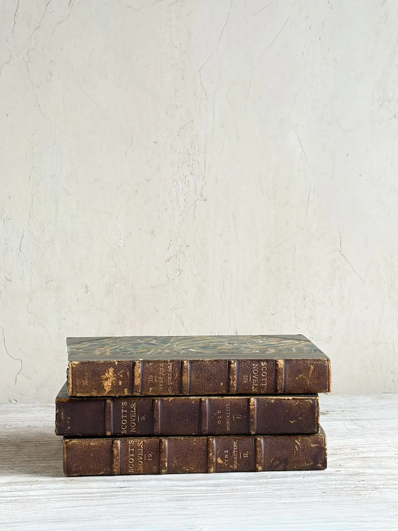 antique-book-waverley-novels-sir-walter-scott-collection-19th-century-rare-books-4.jpeg