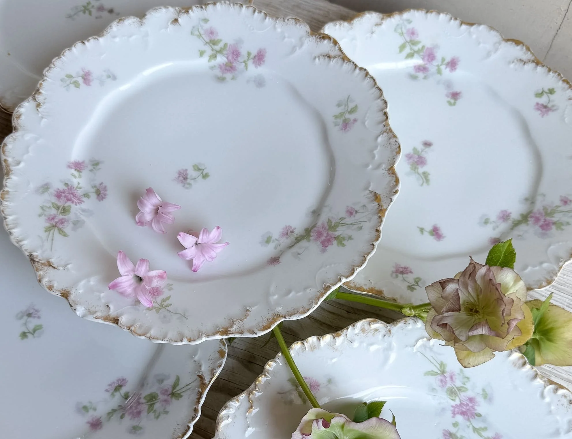antique limoges plates french porcelain pink floral dinner plates