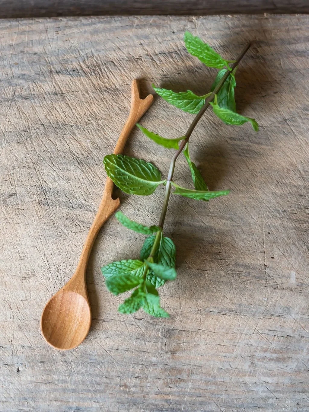 wooden condiment serving spoon made from olive wood twig branch shape