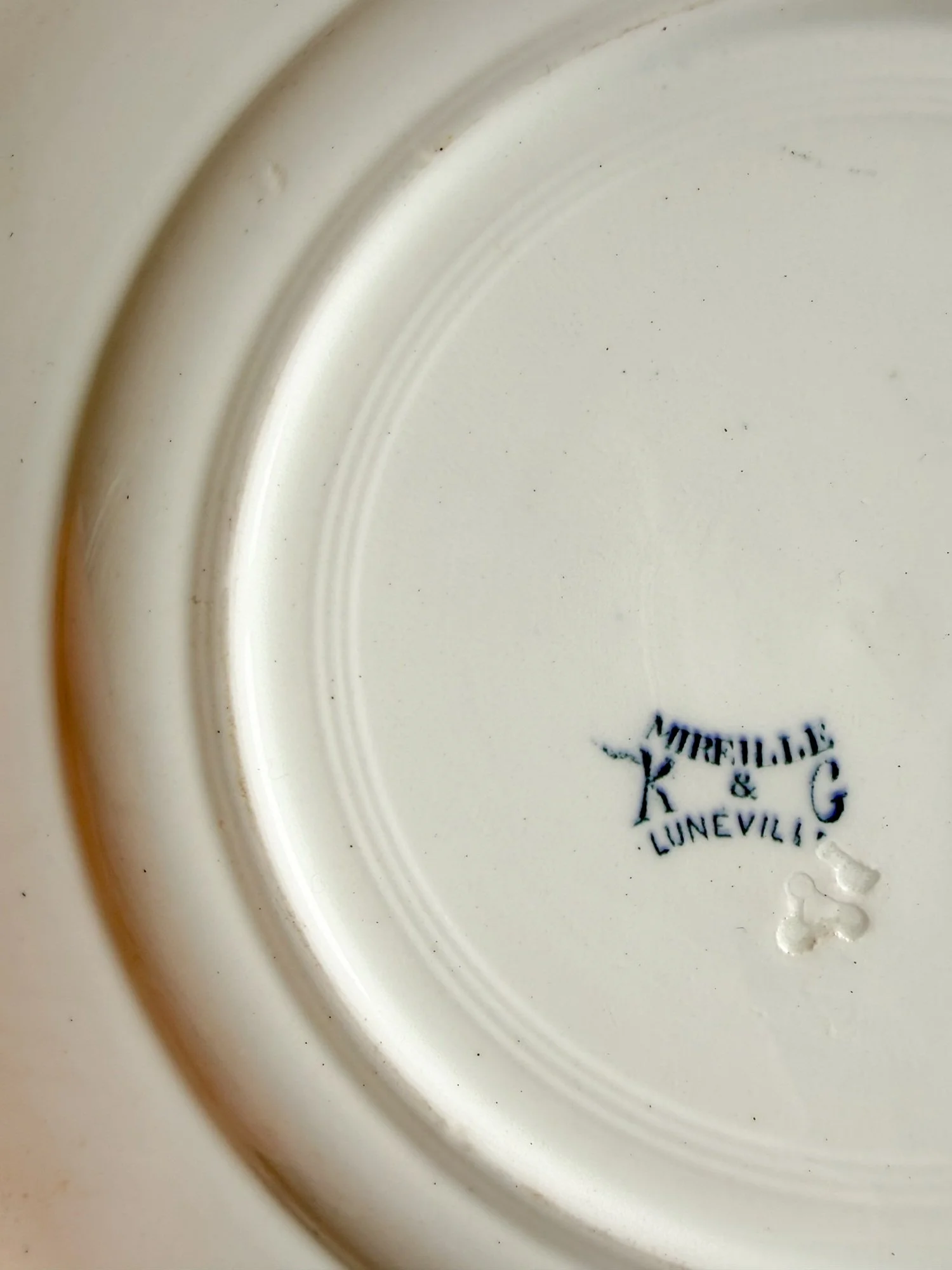 terre-de-fer-french-ironstone-plates-blue-scrolls-luneville-paris (1).jpg