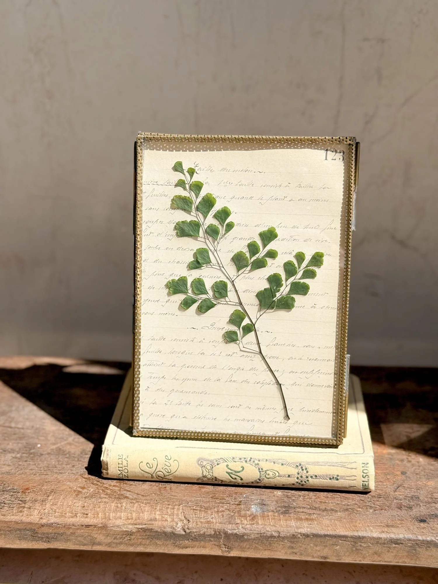 framed-botanical-pressed-fern-french-book-of-trees-hand-written-page-123-alt.jpg