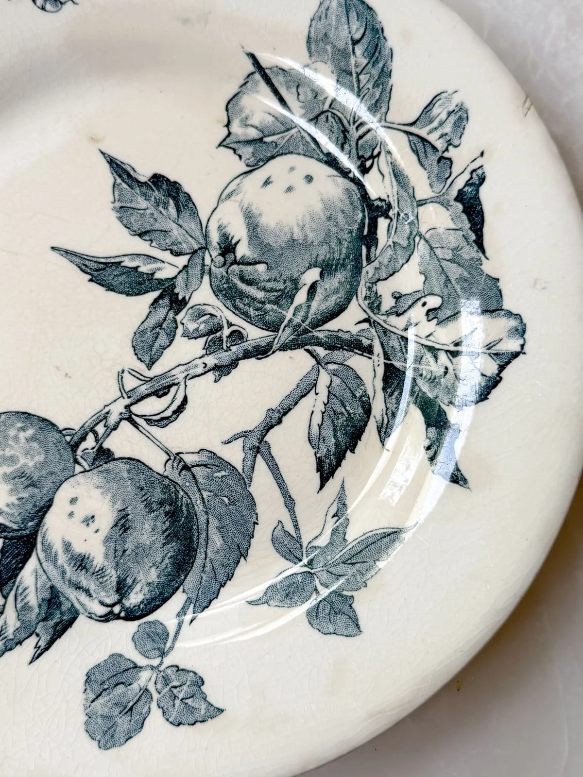 french-ironstone-terre-de-fer-plates-blue-transferware-fruits-pattern (3).jpg