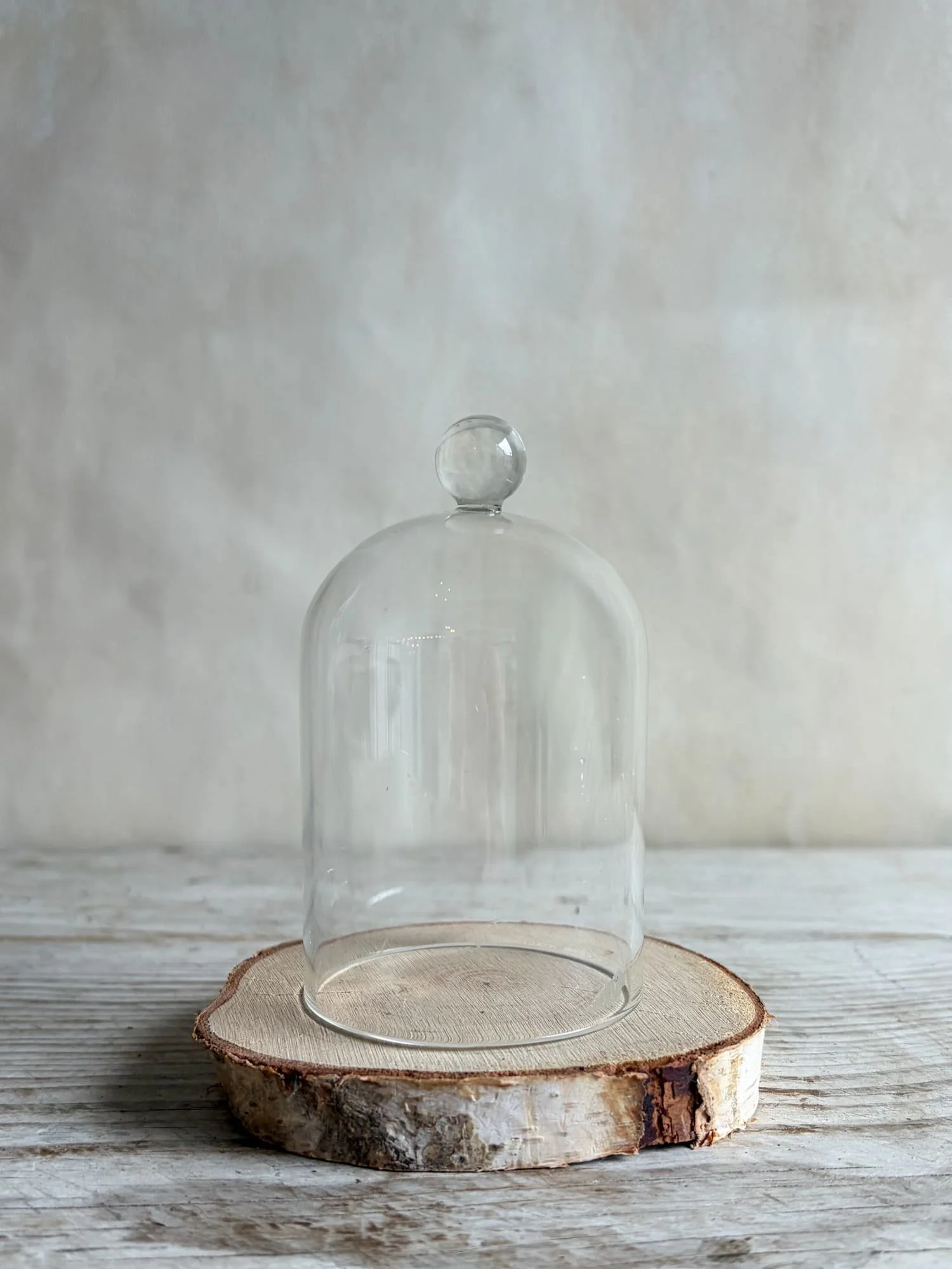 vintage-glass-garden-cloche (1).jpg