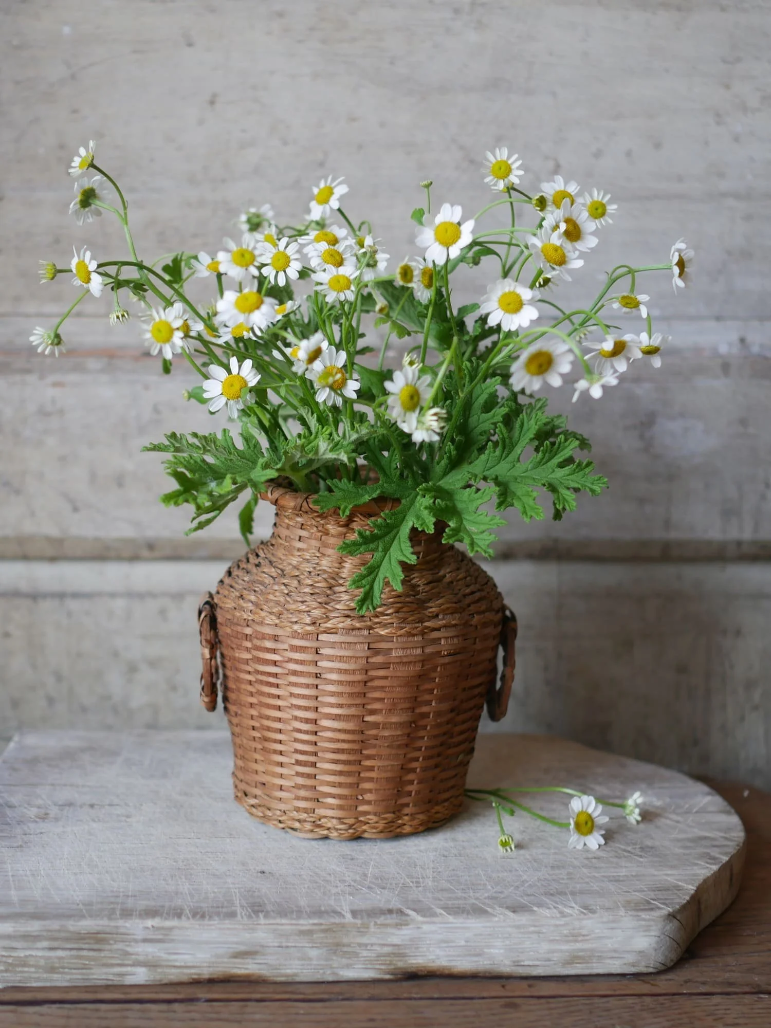 vintage-wicker-splint-flower-vase-side-ring-handles.jpg