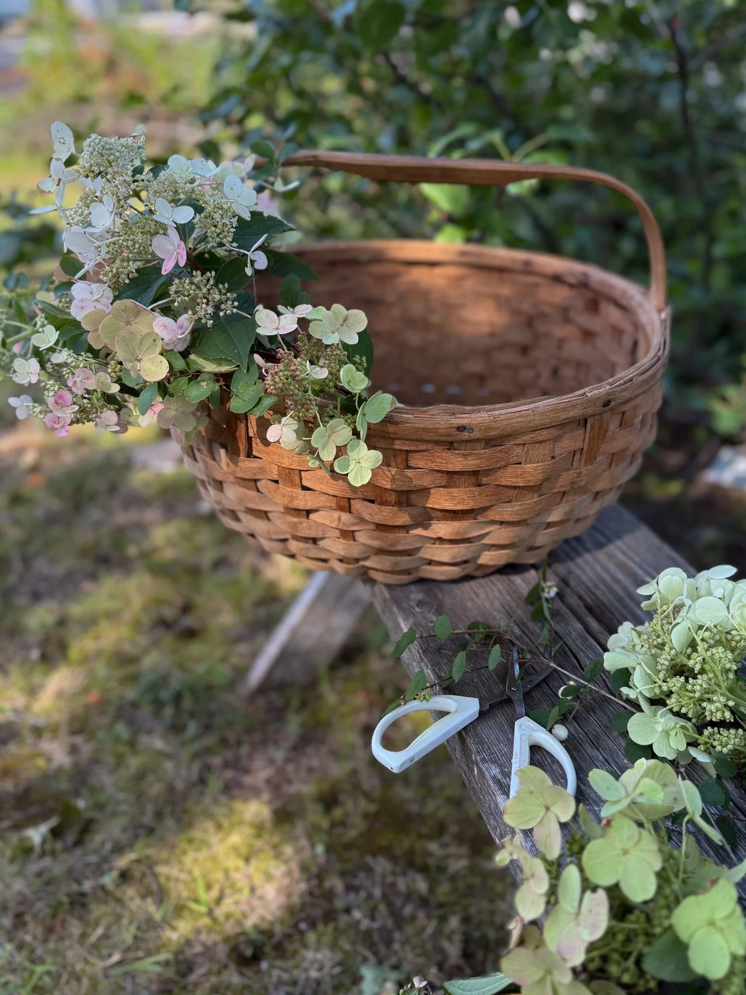 vintage-splint-wood-basket-flat-handle-2.jpg