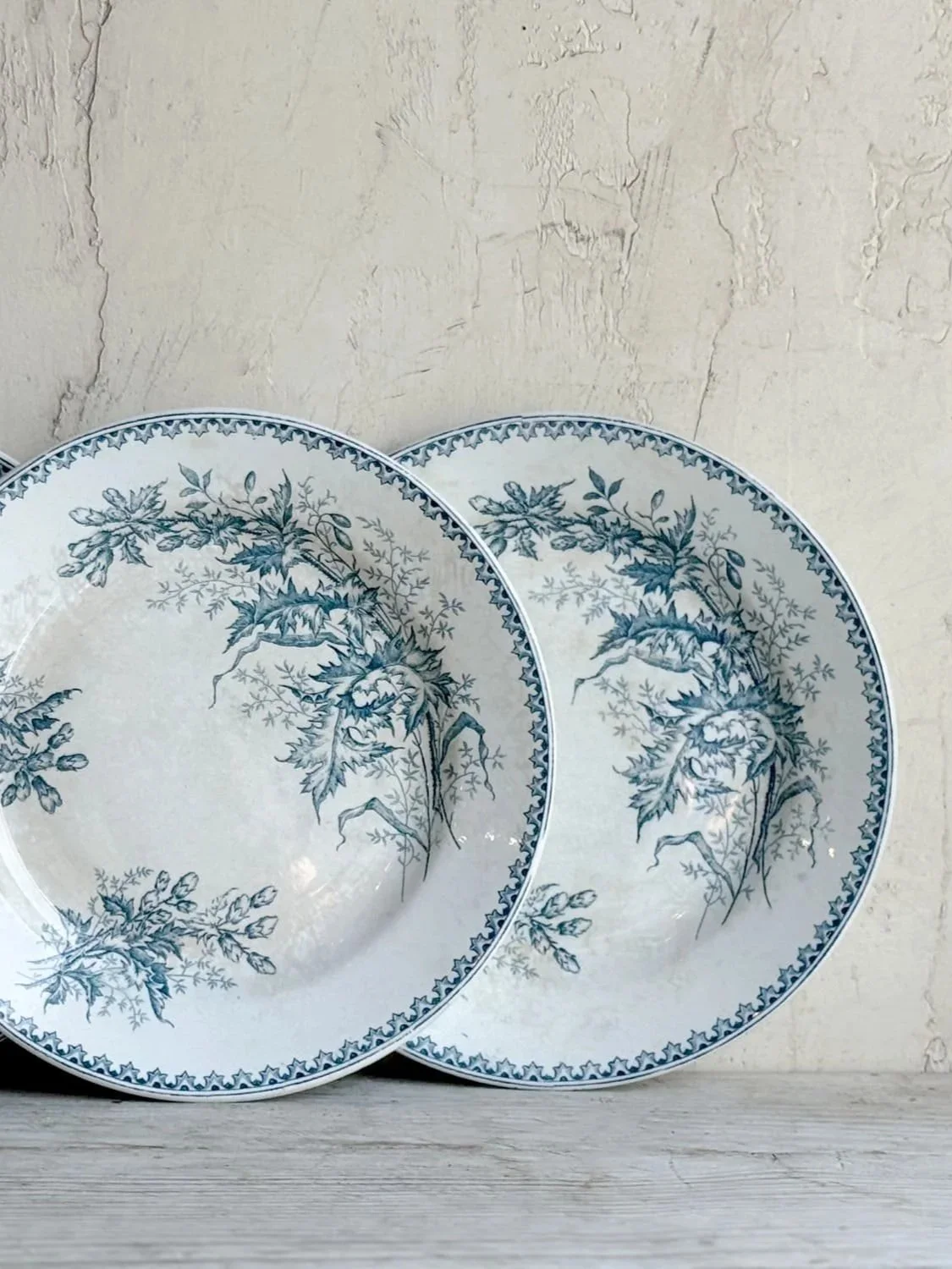 antique-terre-de-fer-plate-blue-thistle-floral-pattern++%281%29.jpg