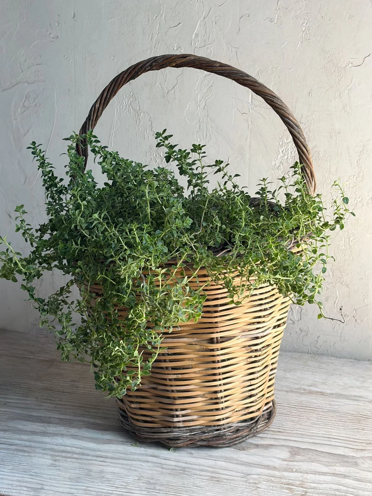 vintage-two-tone-wicker-basket-tall-handle (3).jpg
