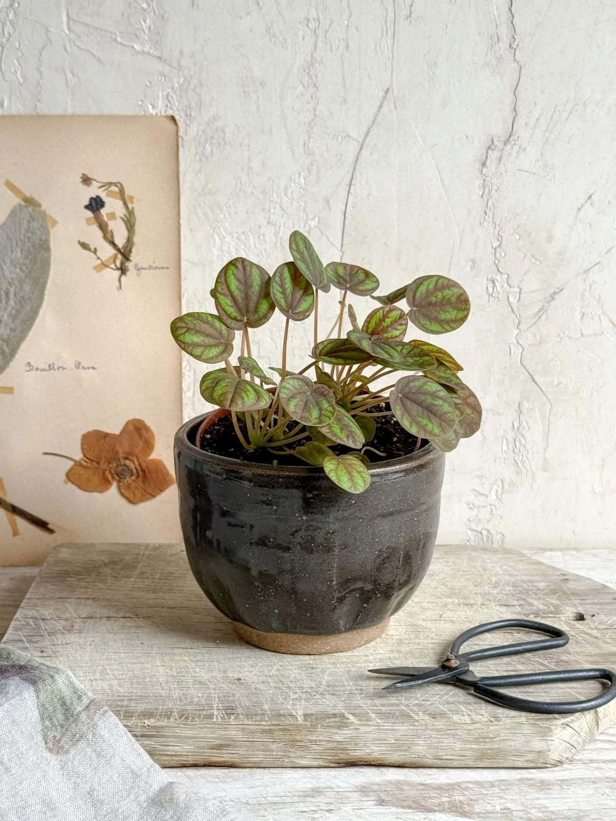 vintage-brown-glazed-pottery-planter-1.jpg