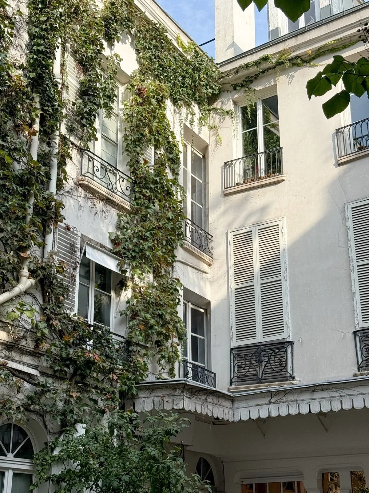 ivy covered building iron balcony paris france