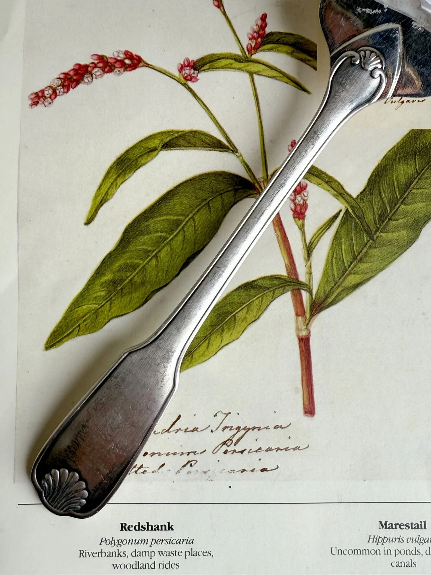 vintage-french-silver-serving-fork-ercuis-meat-fish-fork (1).jpg