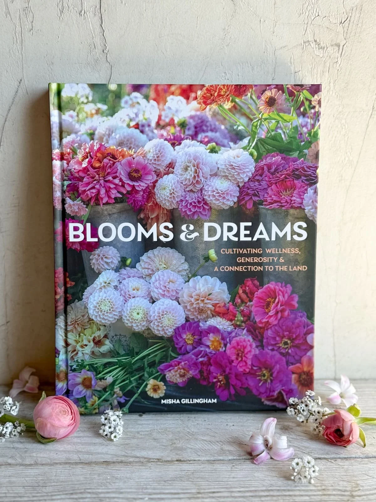 books-and-dreams-book-misha-gillingham (2).jpg