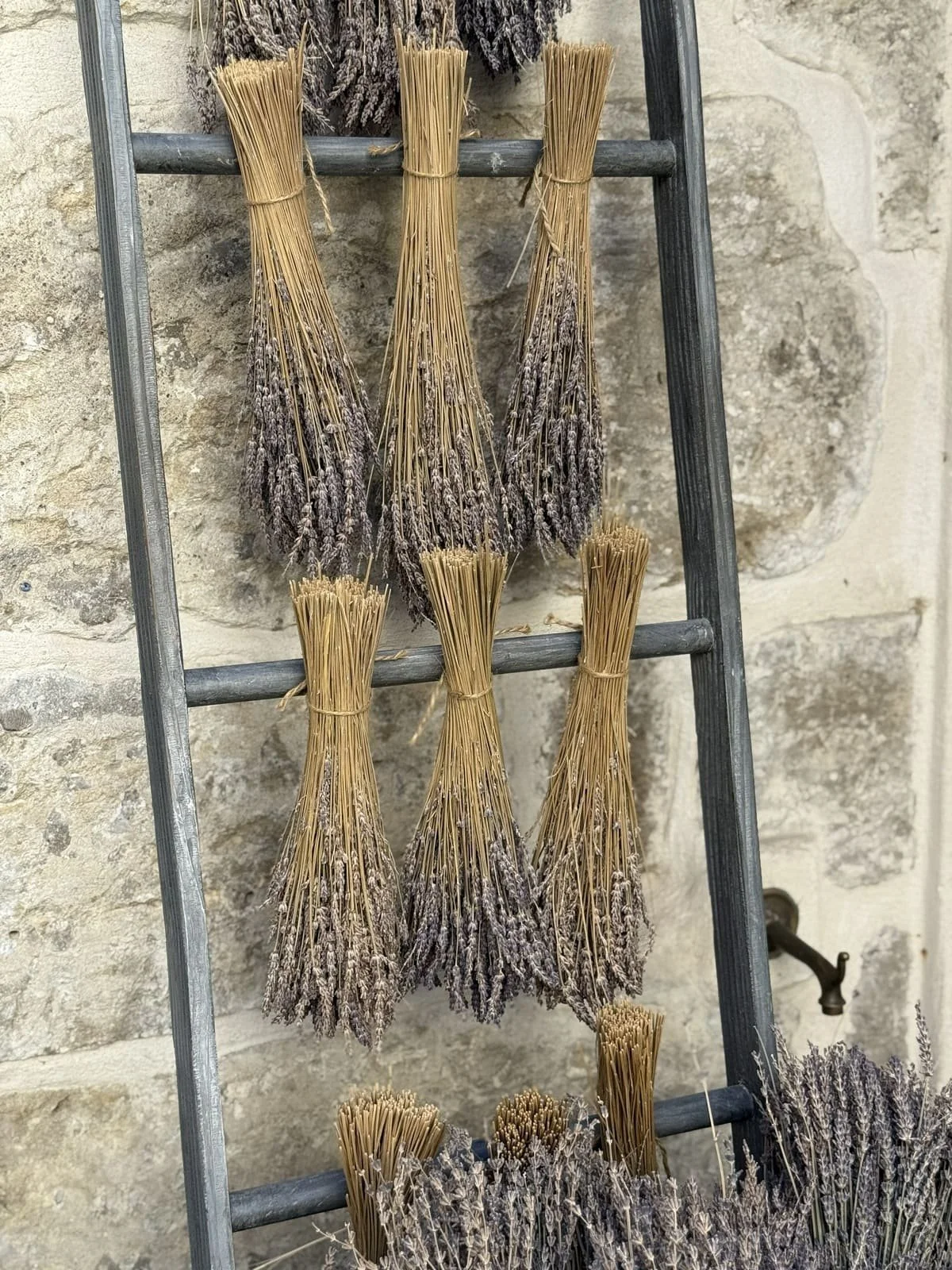 dried lavendar bunches hanging lavender dried bouquets