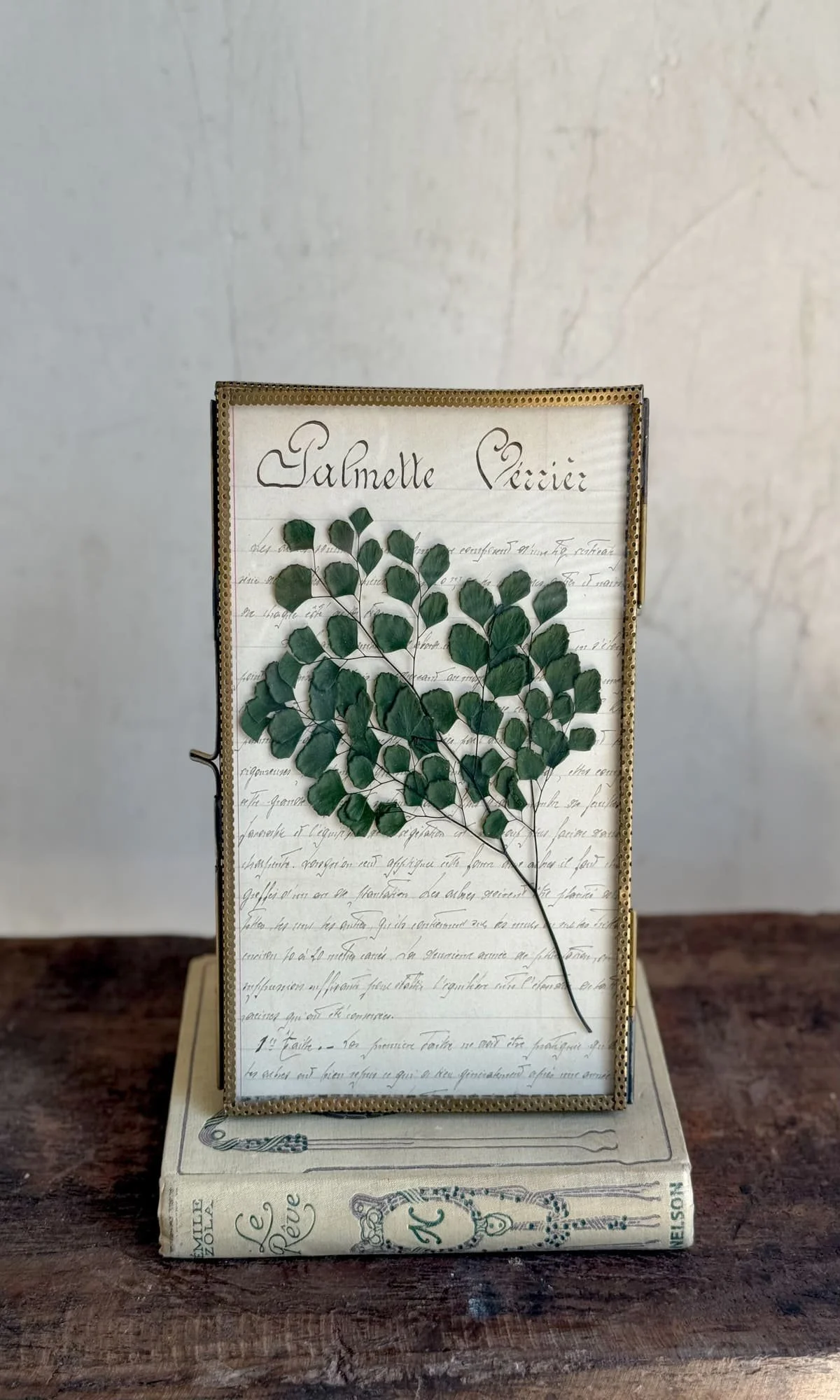 framed-botanical-pressed-fern-french-book-of-trees-hand-written-page-pv.jpg
