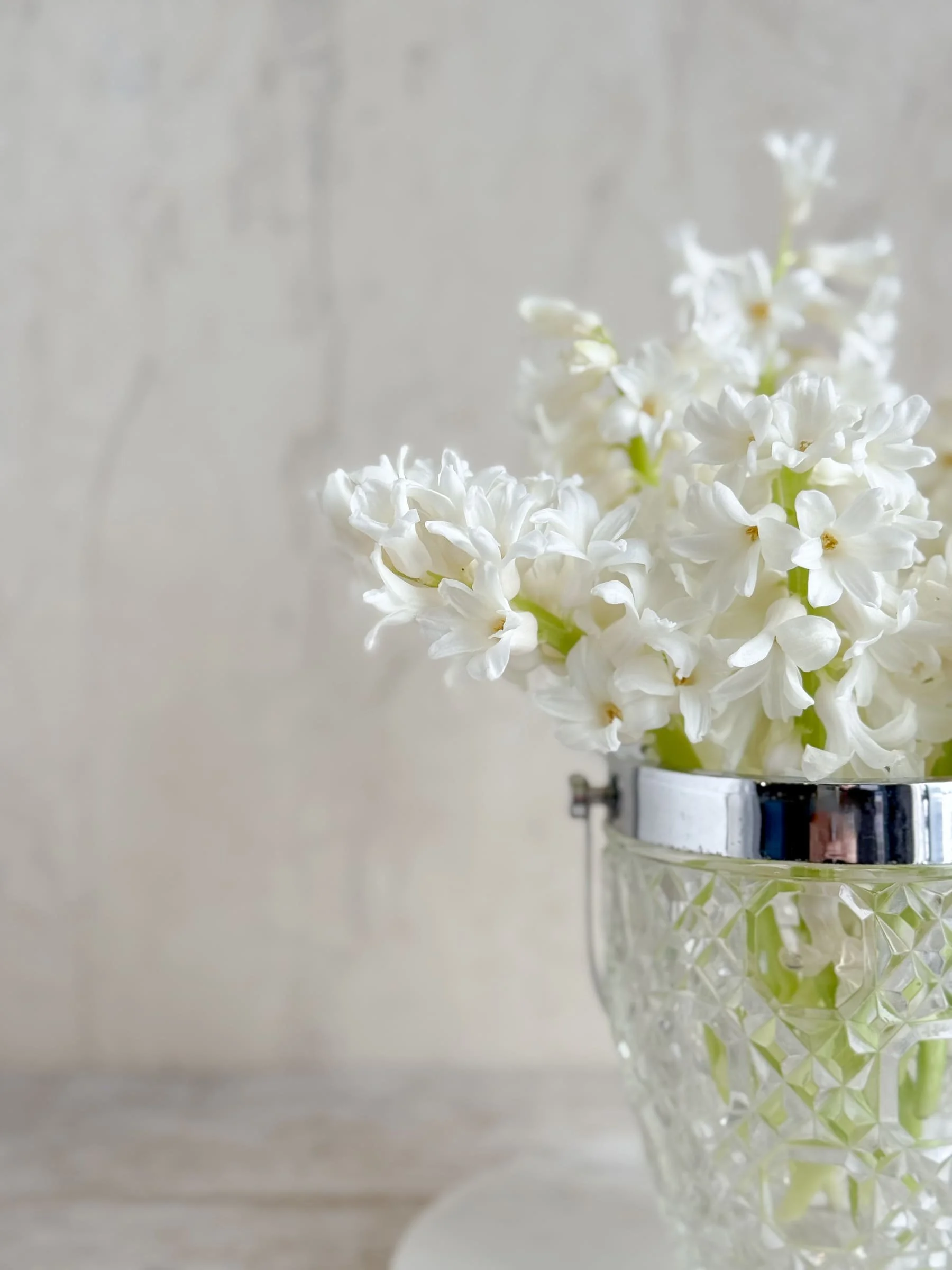 vintage-cut-glass-ice-buckets-silverplate-rim-handle (5).jpg