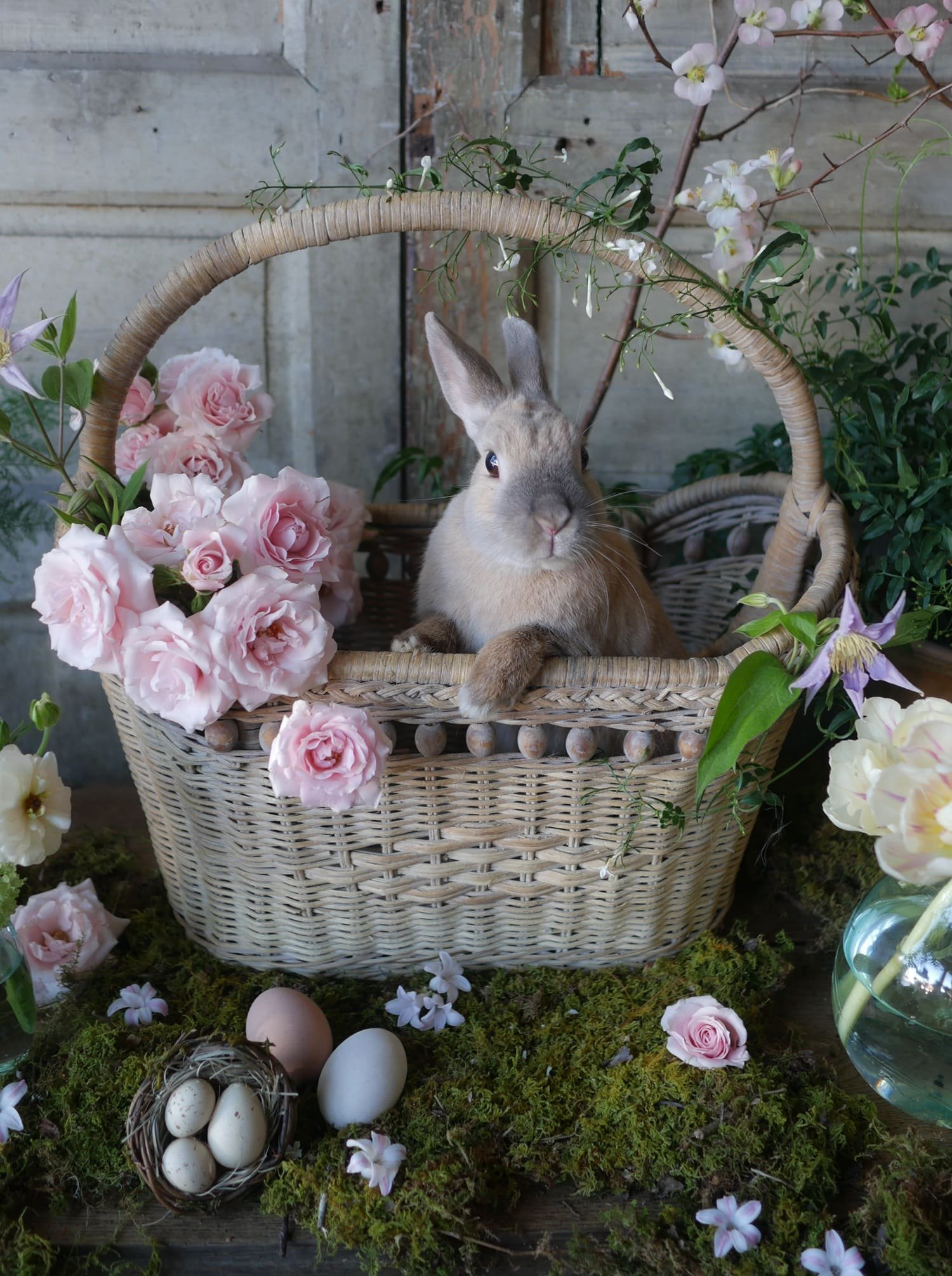 easter basket bunny rabbit in french antique wicker gathering basket pink roses