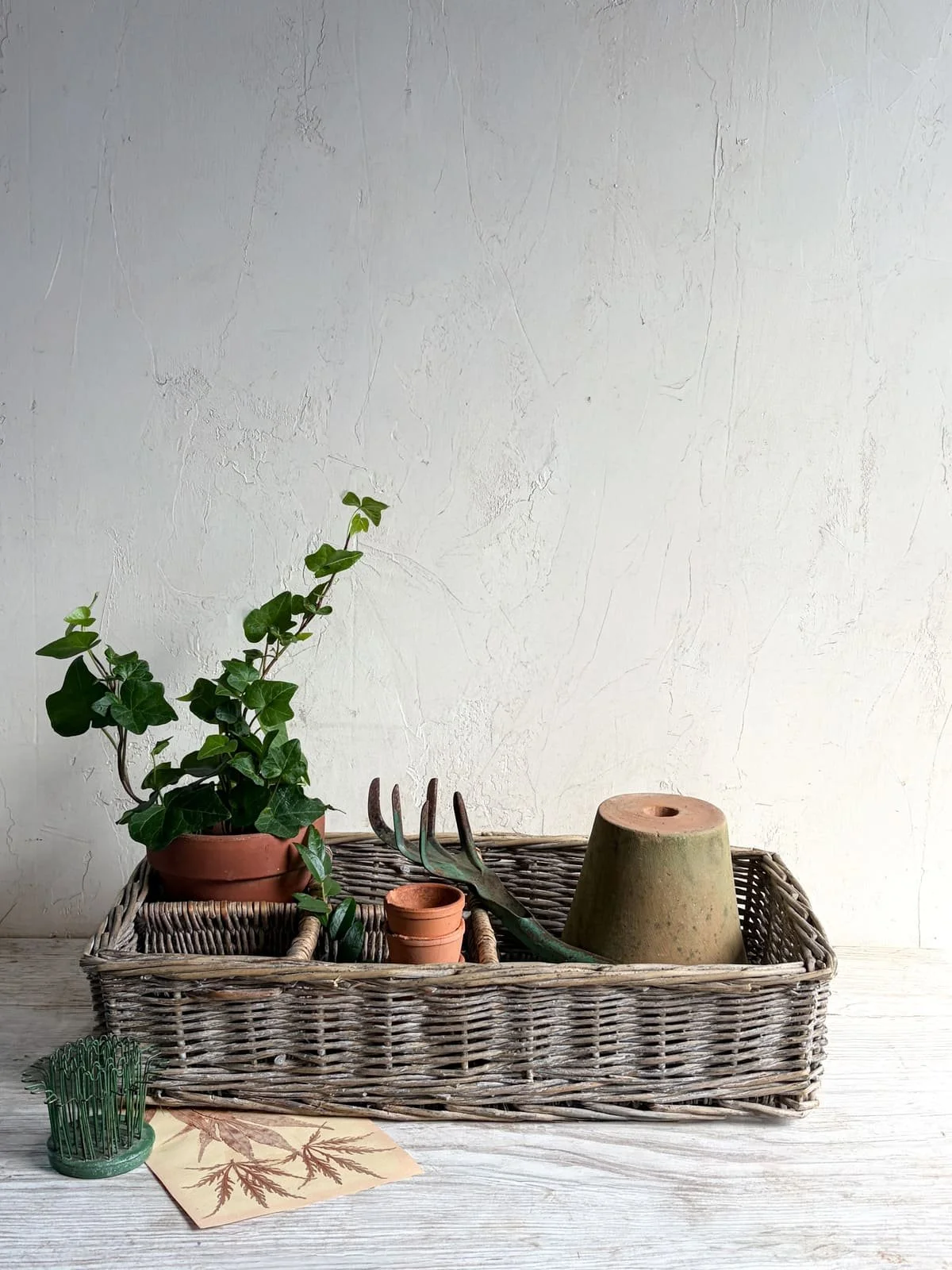 antique-french-wicker-sectioned-bottle-basket (2).jpg
