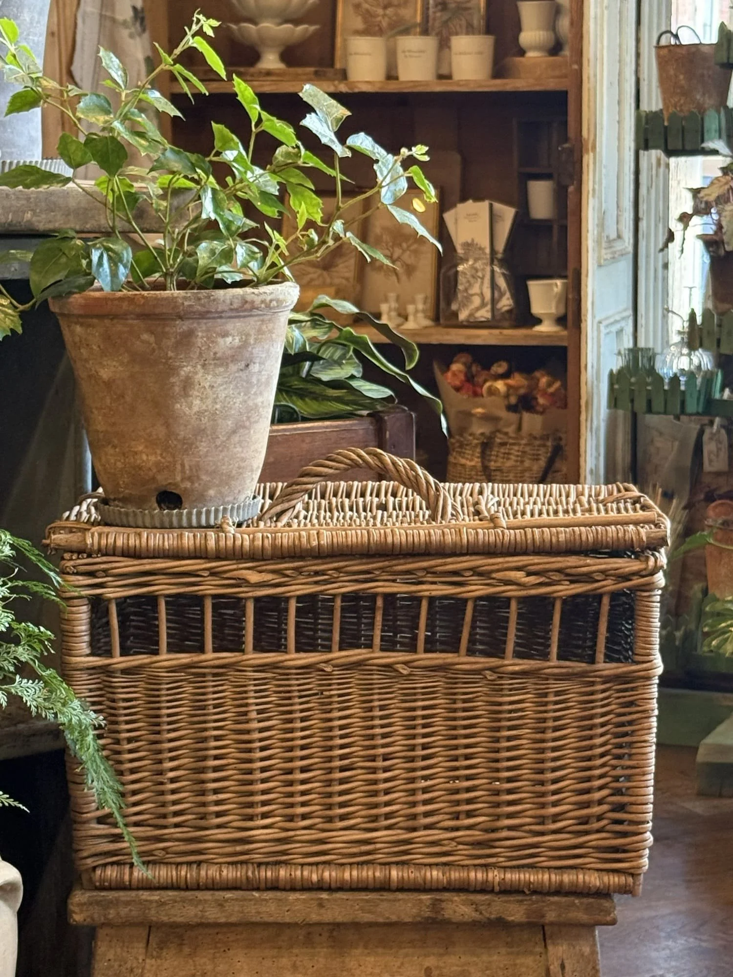vintage-french-lidded-willow-storage-basket (2).jpg