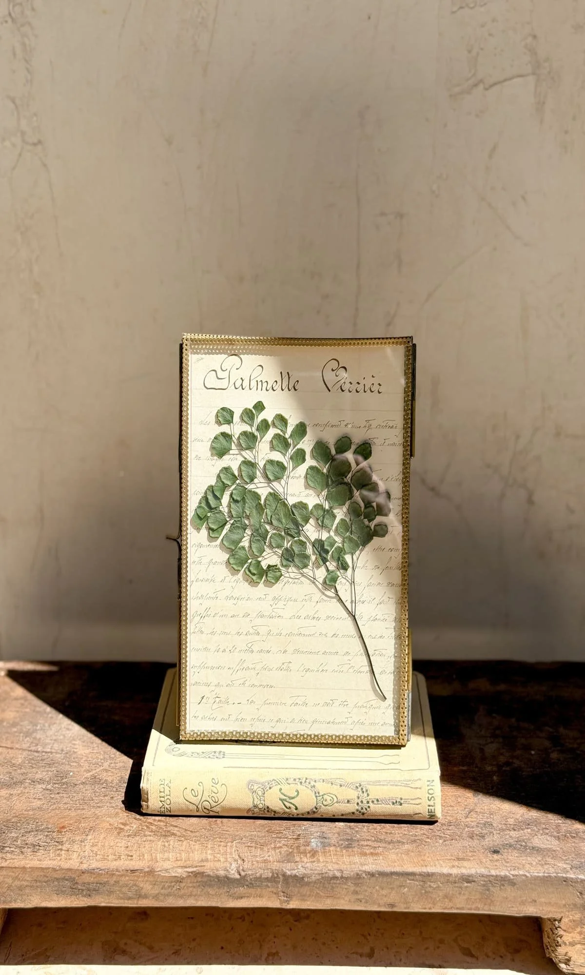 framed-botanical-pressed-fern-french-book-of-trees-hand-written-page-pv-alt.jpg