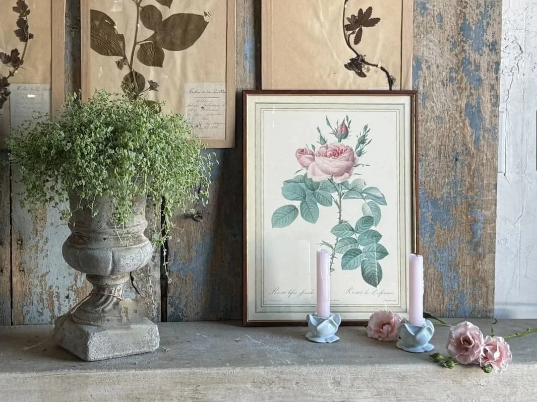 vintage white porcelain rose candle holder cement urn planter framed antique engraving print