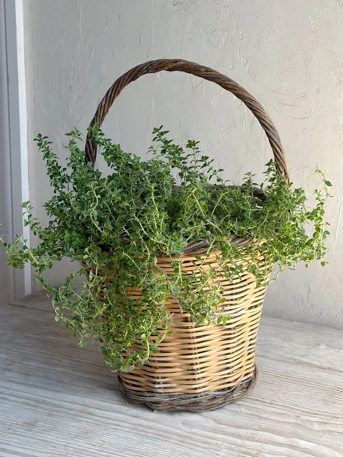 Vintage French Two-Toned Tapered Wicker Carrying Basket with Tall Handle