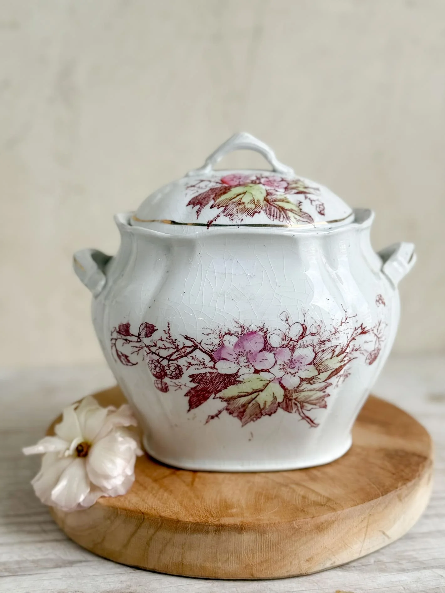 antique-red-transferware-sugar-bowl (3).jpg