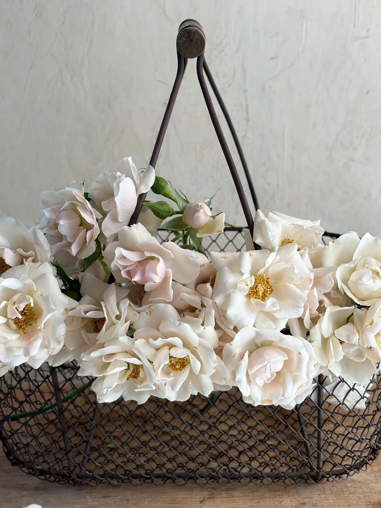 french-wire-harvest-basket-garden-trug-3.jpg