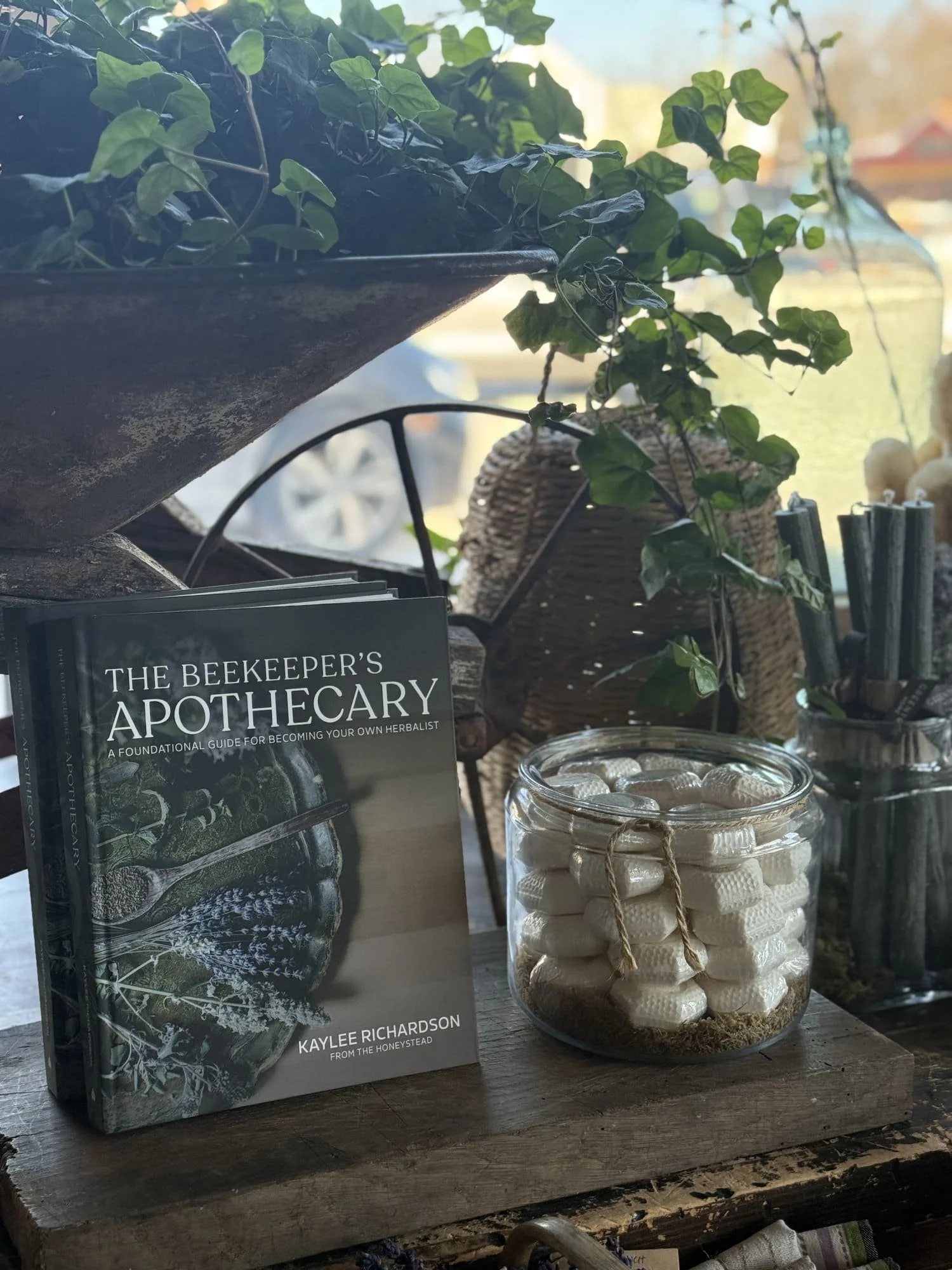The Bekeeper's Apothecary: A Foundational Guide For Becoming Your Own Herbalist