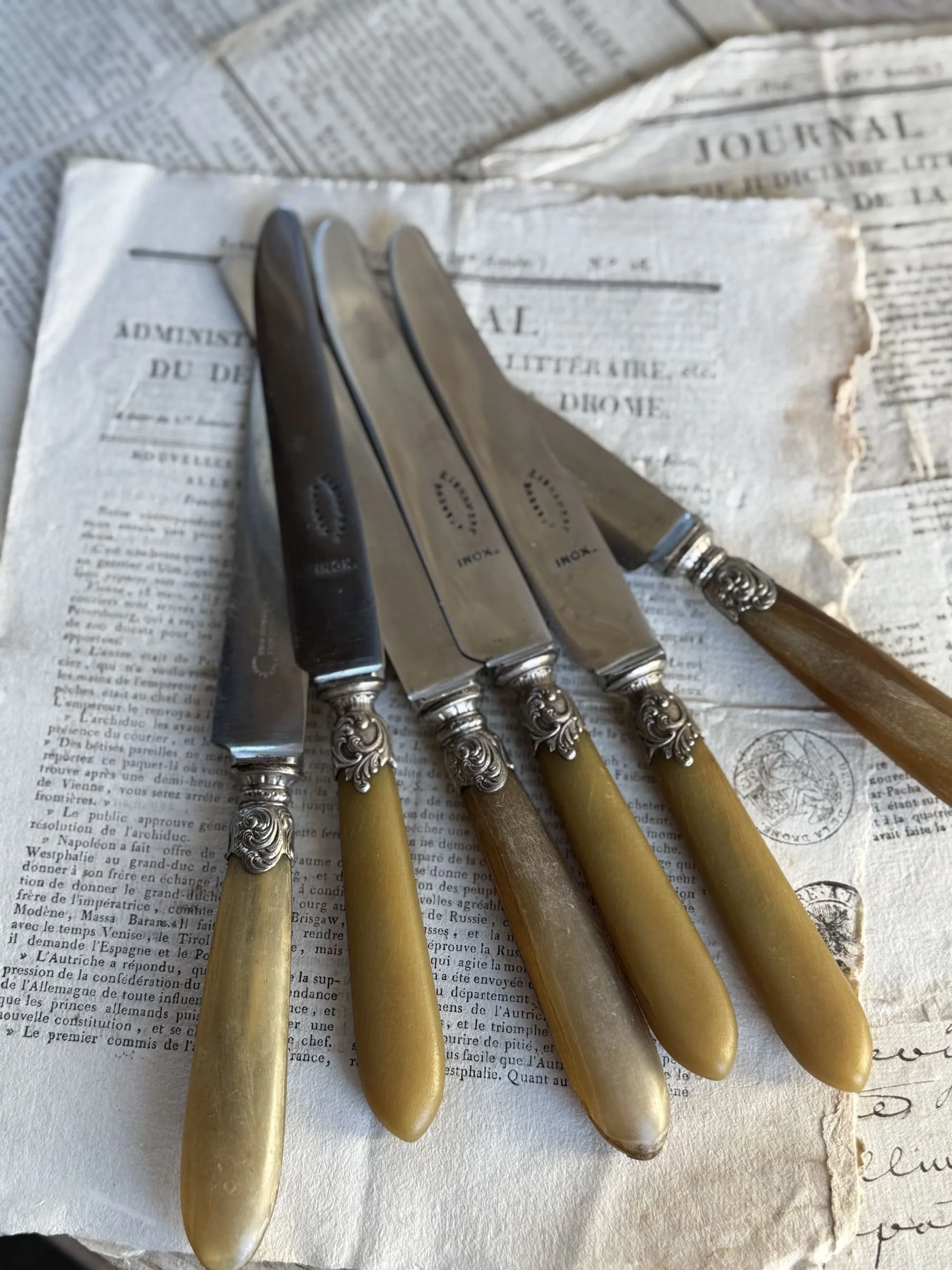 french-knife-set-horn-handle-silver-art-nouveau-collars (2).jpg